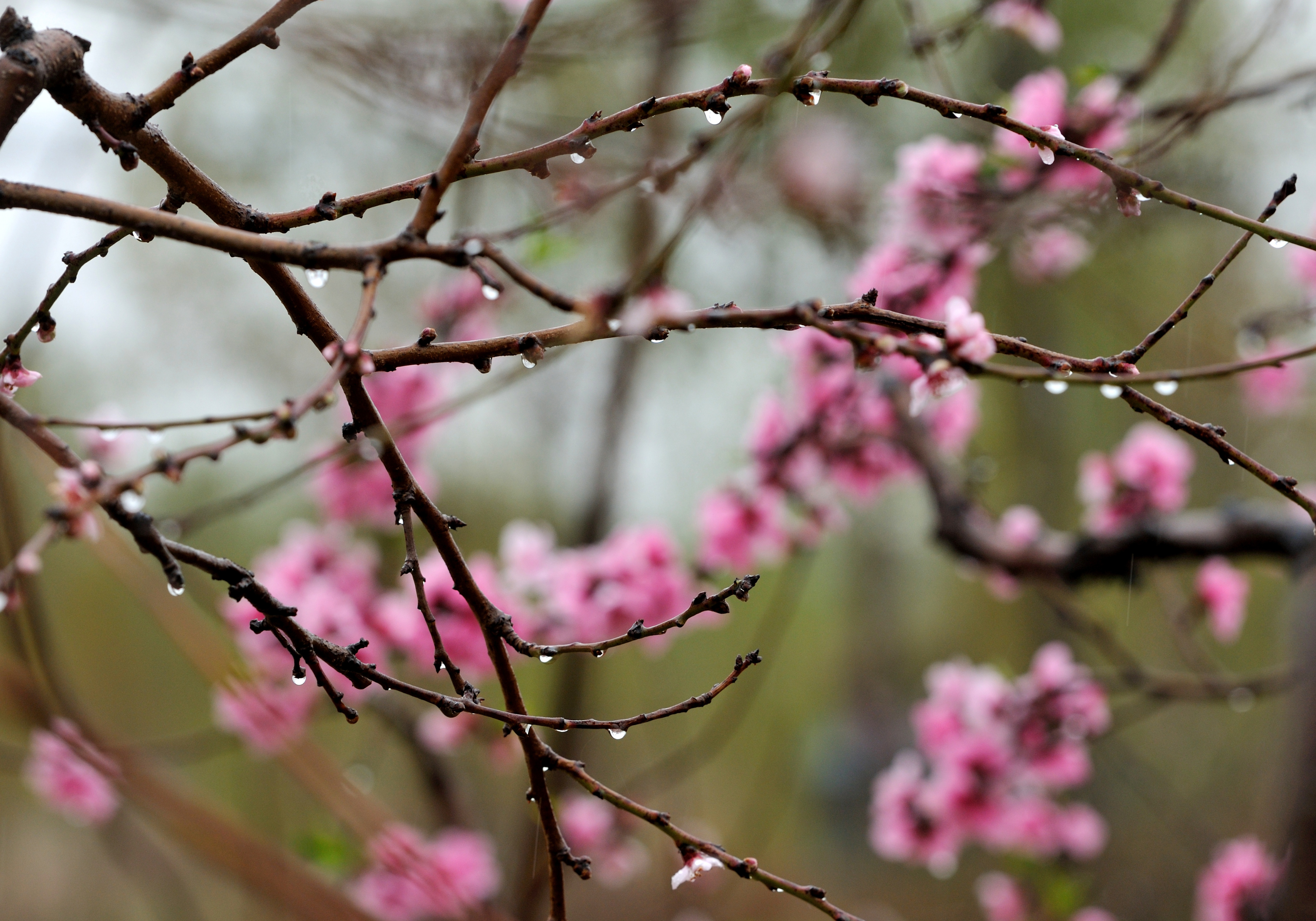 April Showers Bring May Flowers
