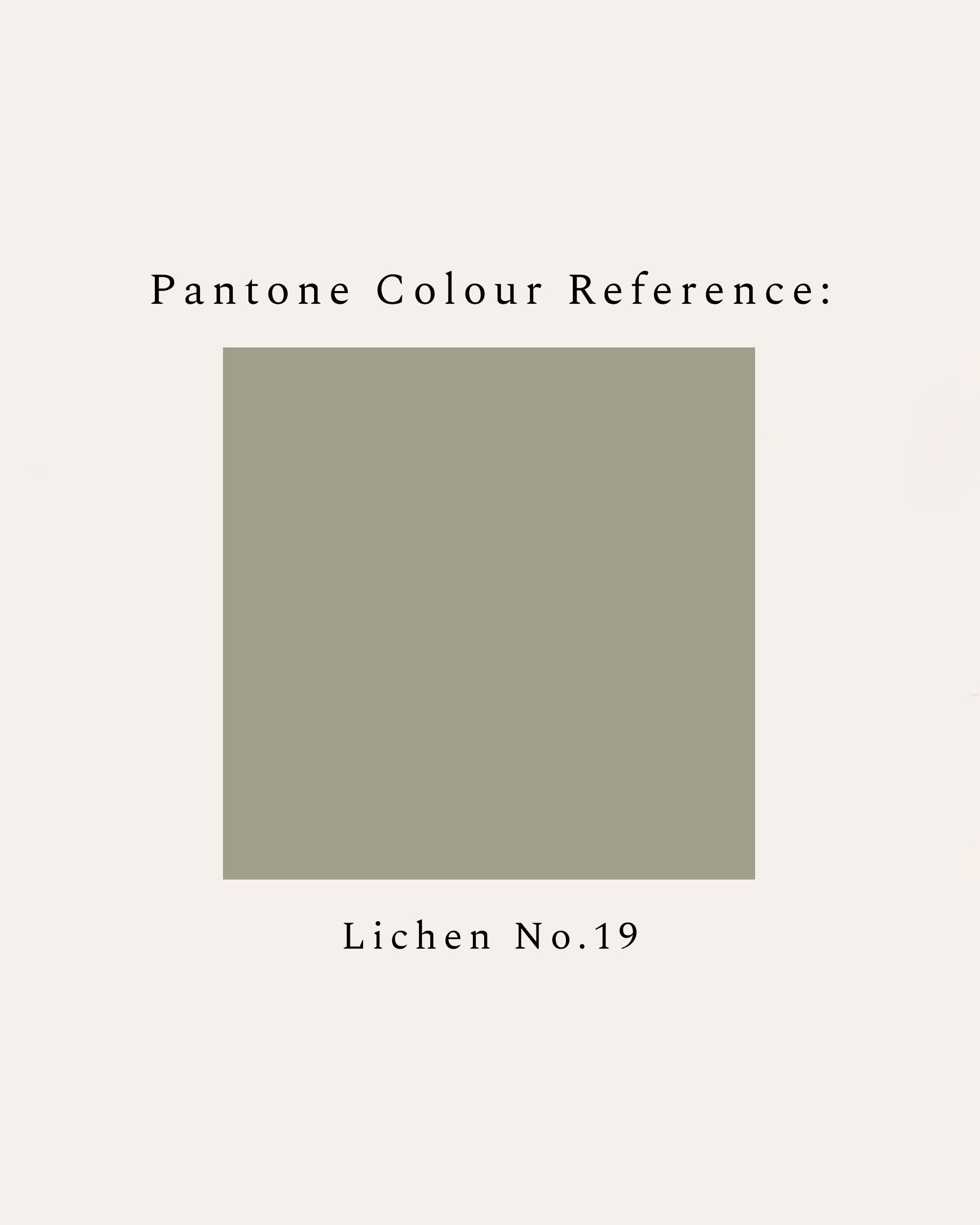 Painted Bookshelf - Green