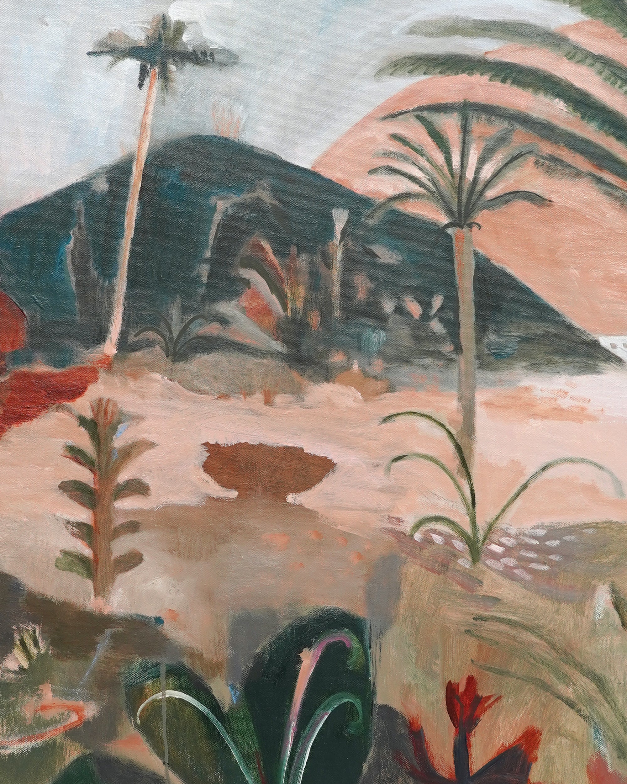 Dana Finch - Hidden Cabo