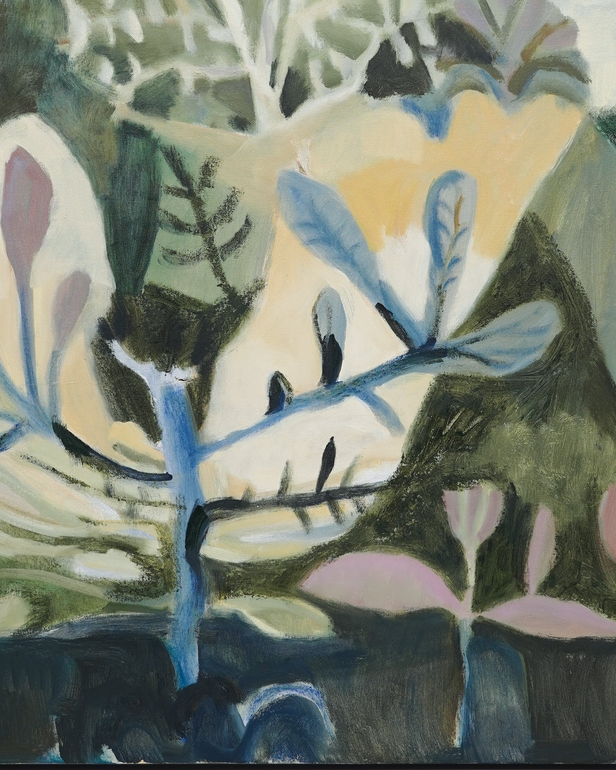 Dana Finch - Spring Woods II