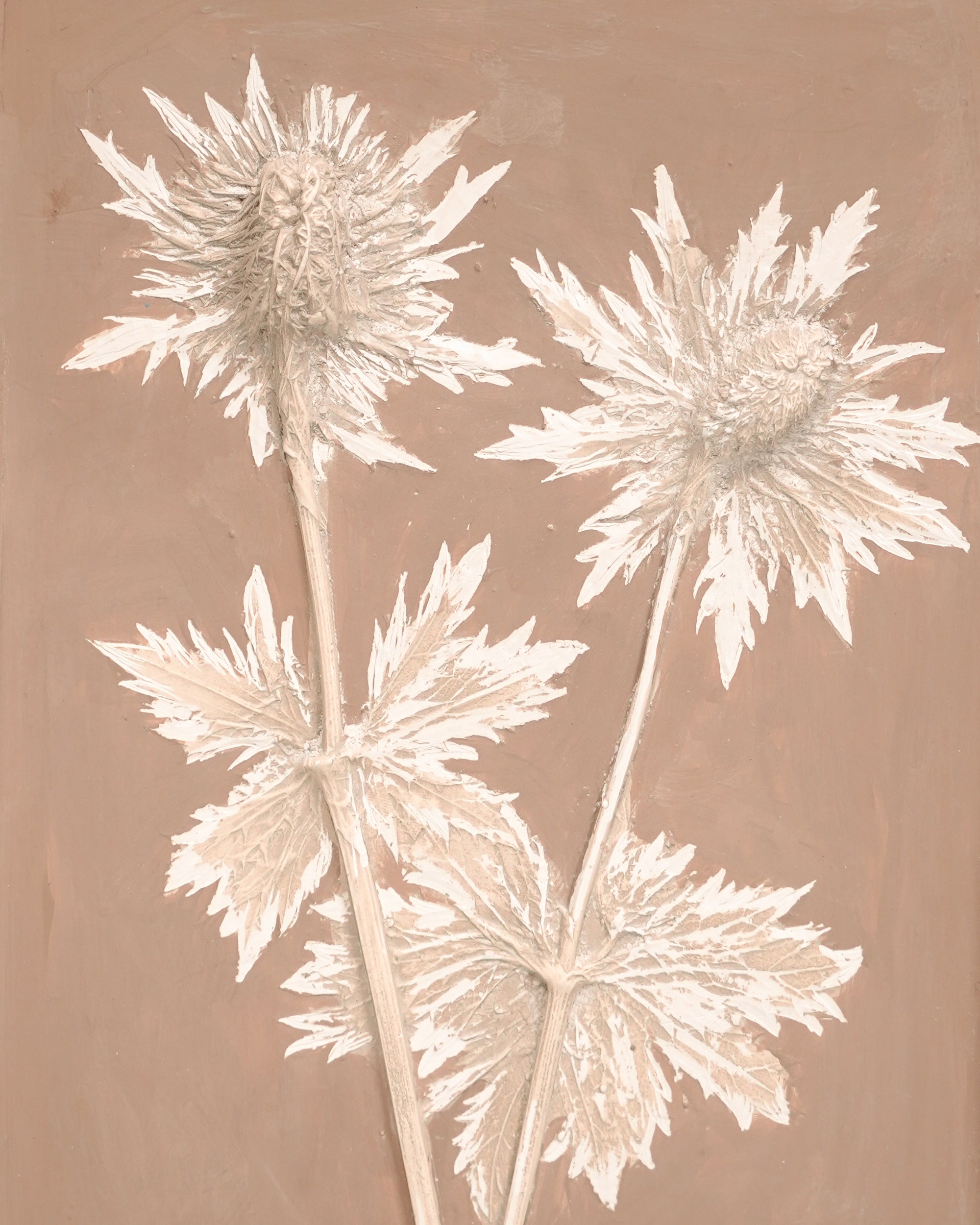 Imprint Casts - Scalloped Botanical Postage Stamp Sea Holly - Large