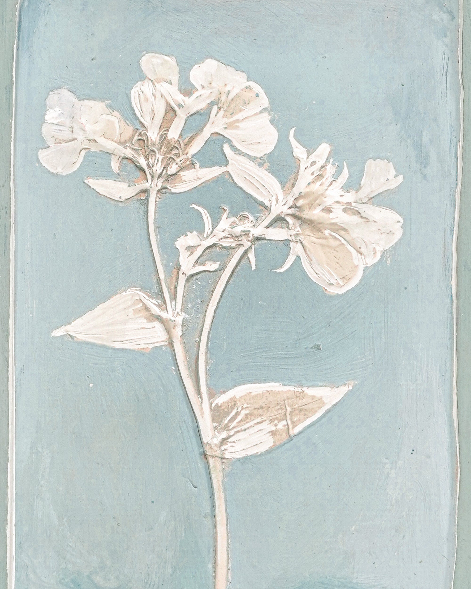 Imprint Casts - Scalloped Botanical Postage Stamp Saponaria - Small