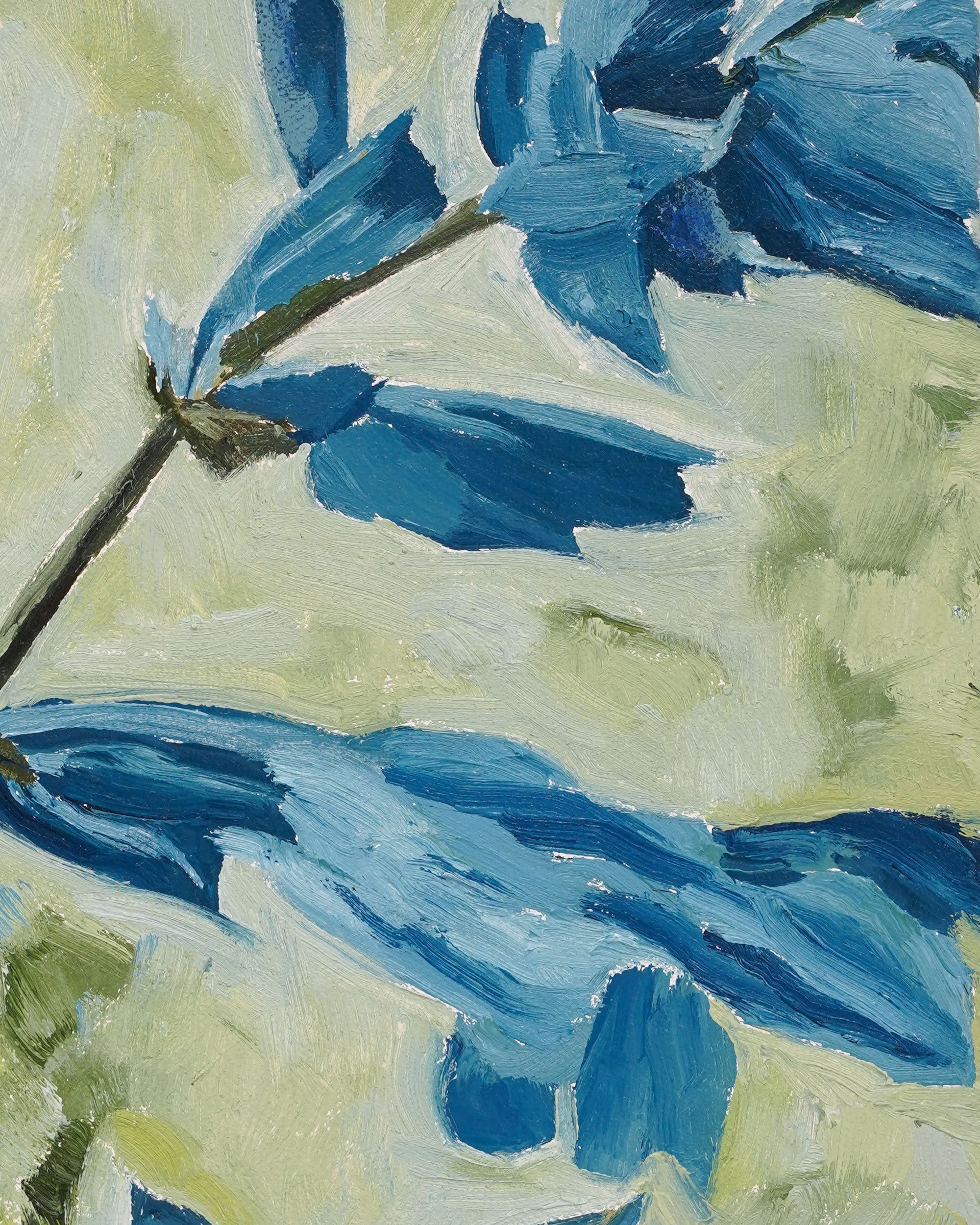 Diana Forbes - Blue Salvia Study