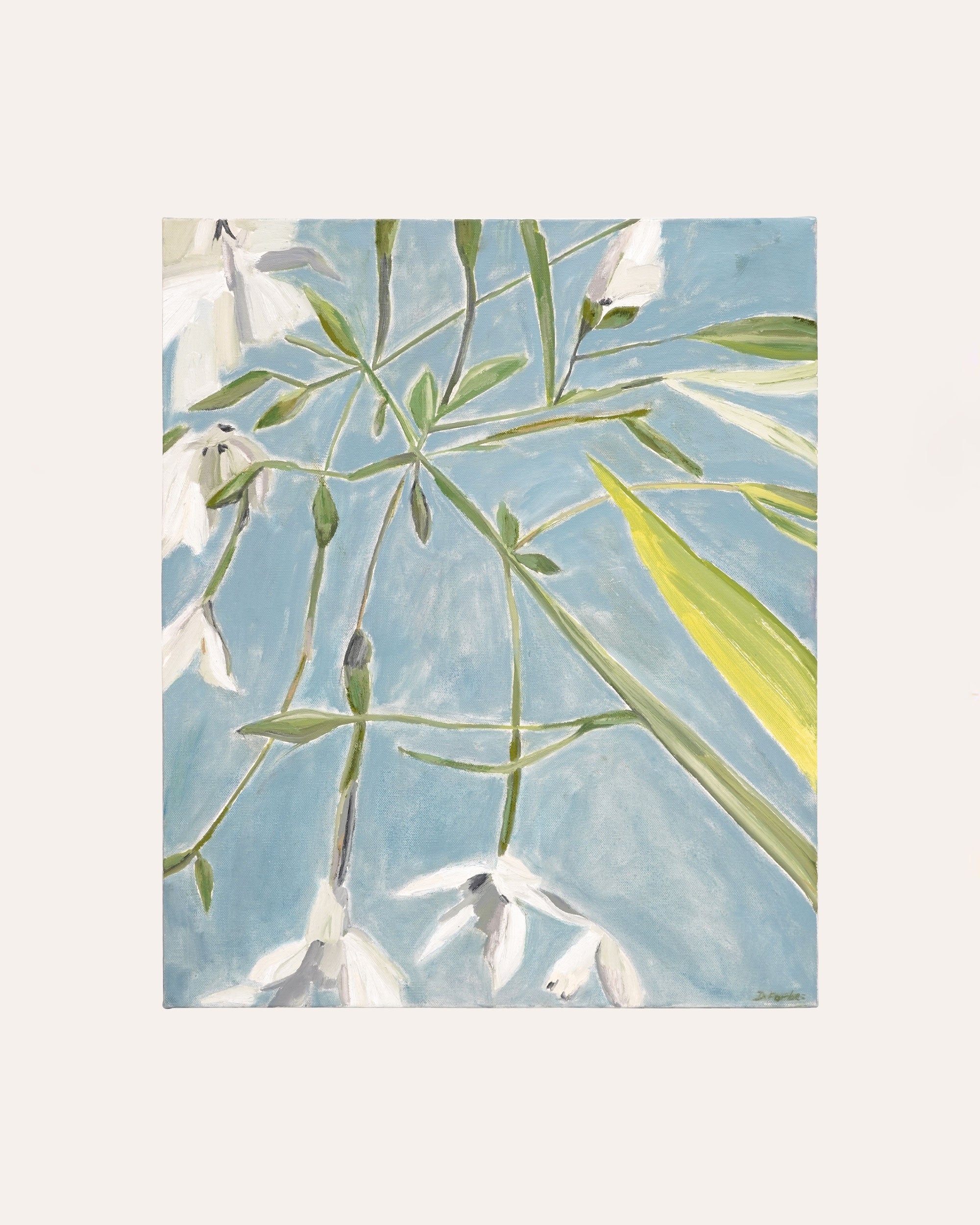 Diana Forbes - Nicotiana in Sun