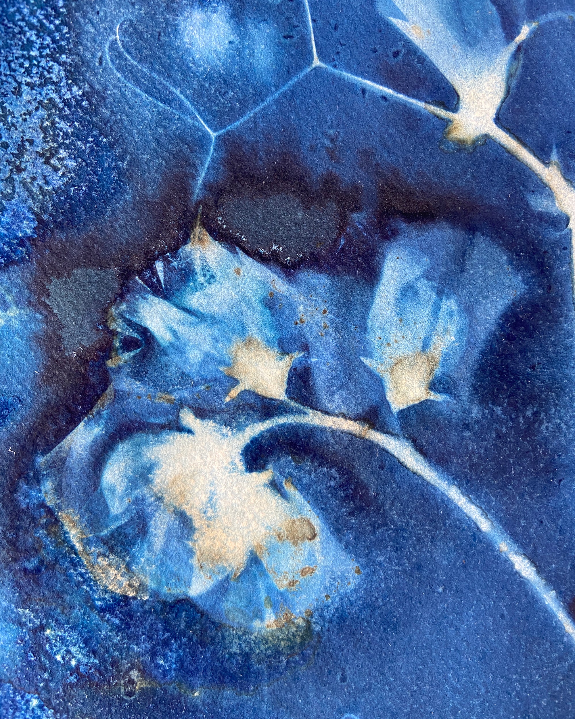 Kate Mullock - Sweet Pea No.1