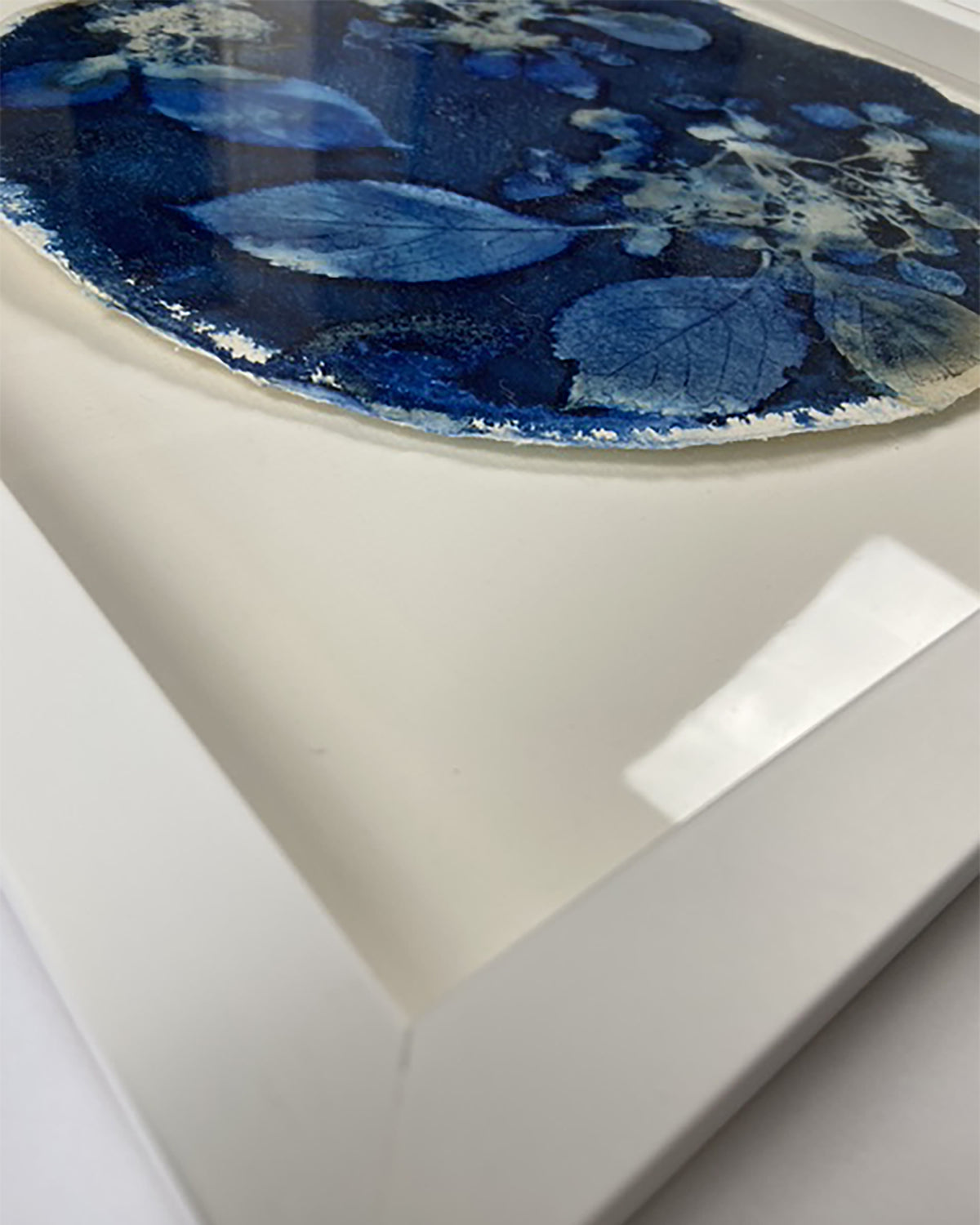 Kate Mullock - Circle Hydrangea B