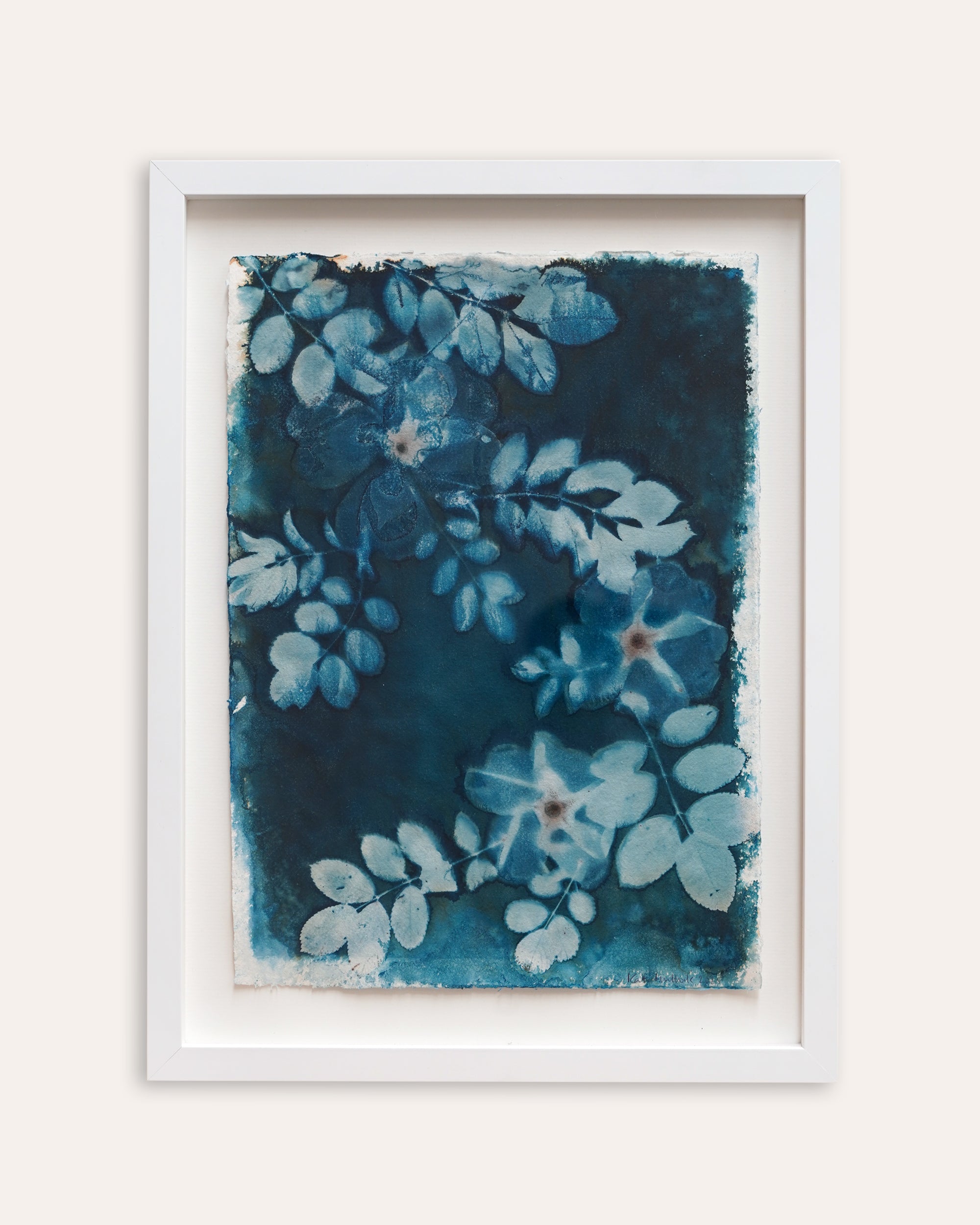 Kate Mullock - Rose 2