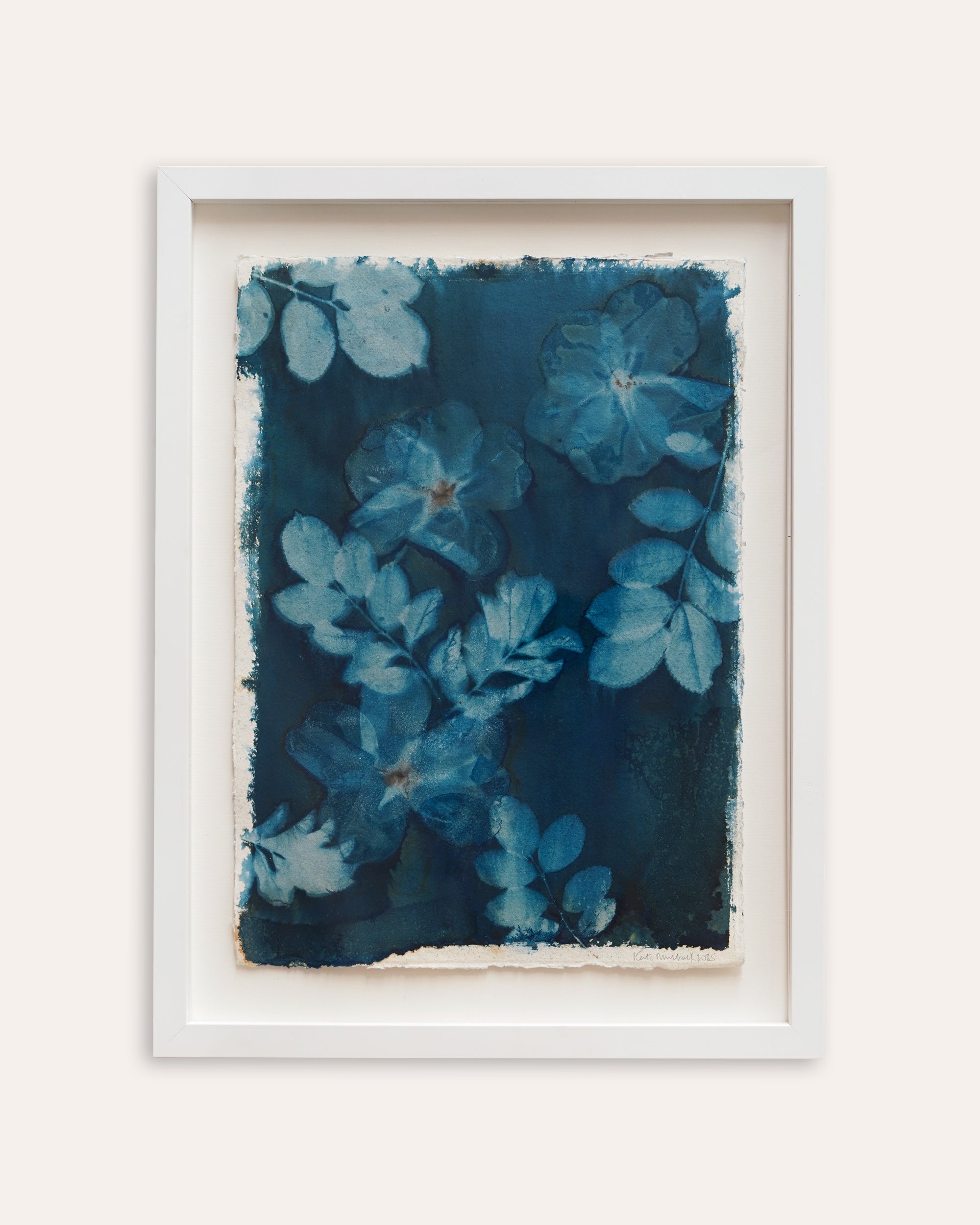 Kate Mullock - Rose 3