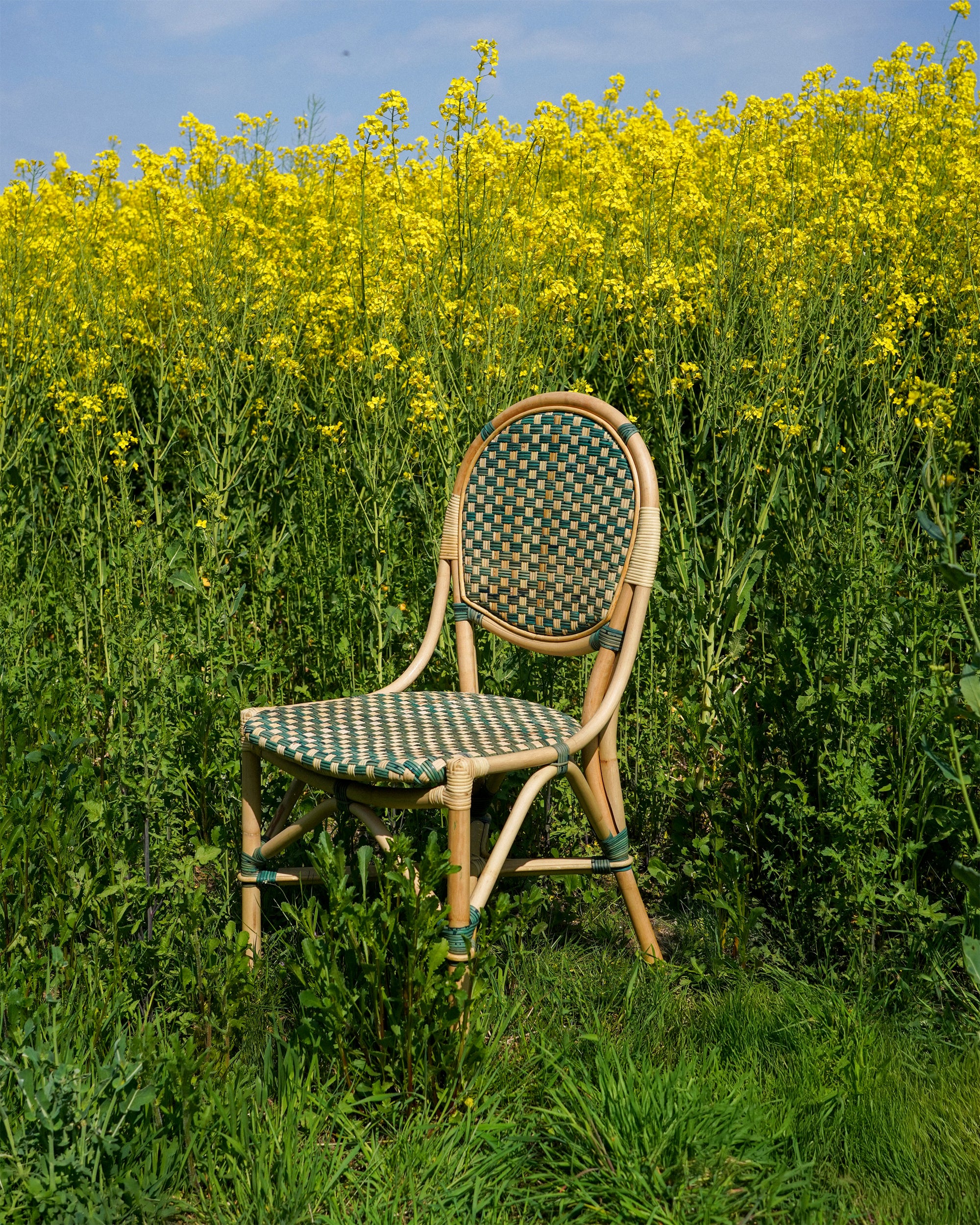 Rattan Dining Chair - Green