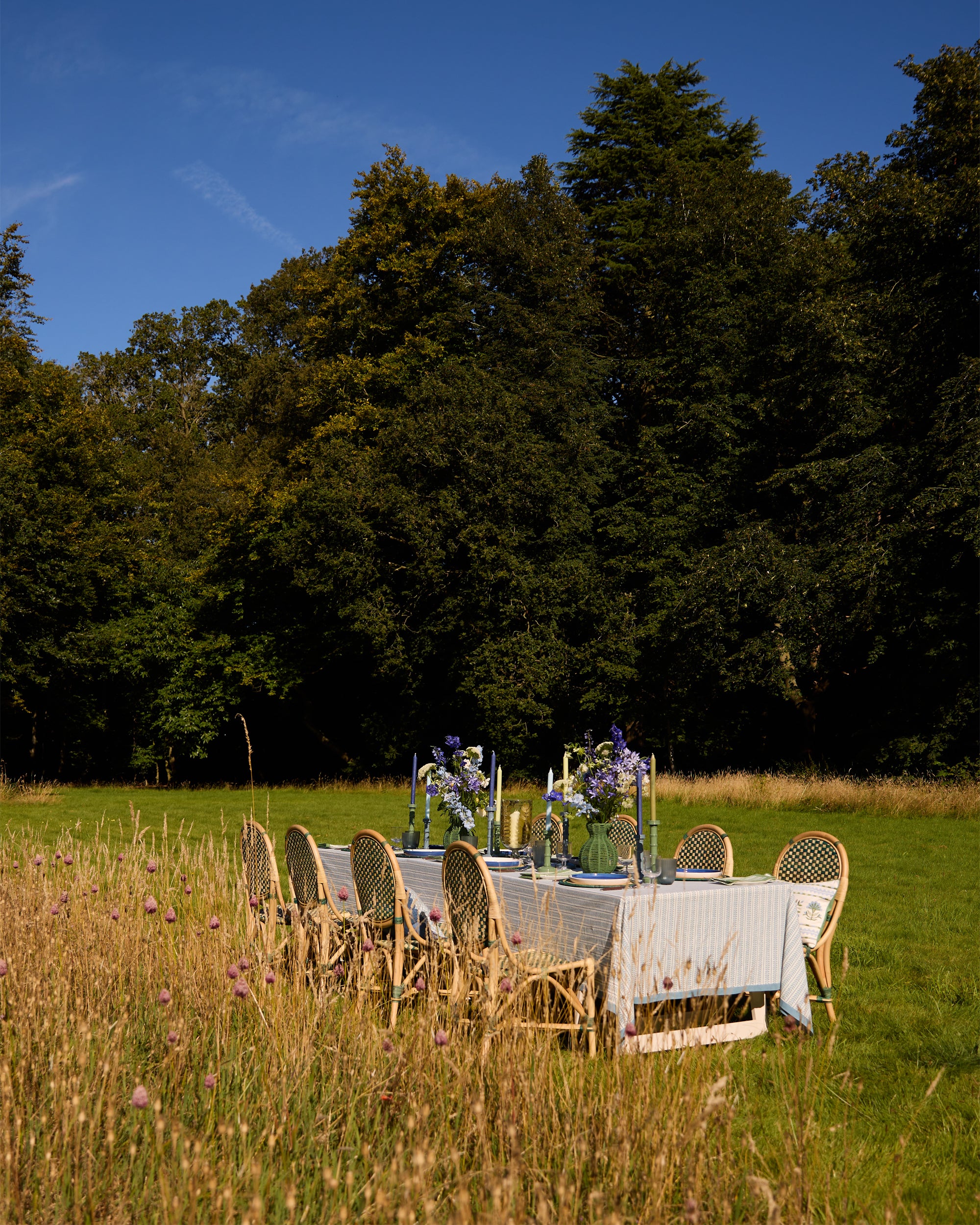 Outdoor dining table with chairs in a grassy field with trees in the background