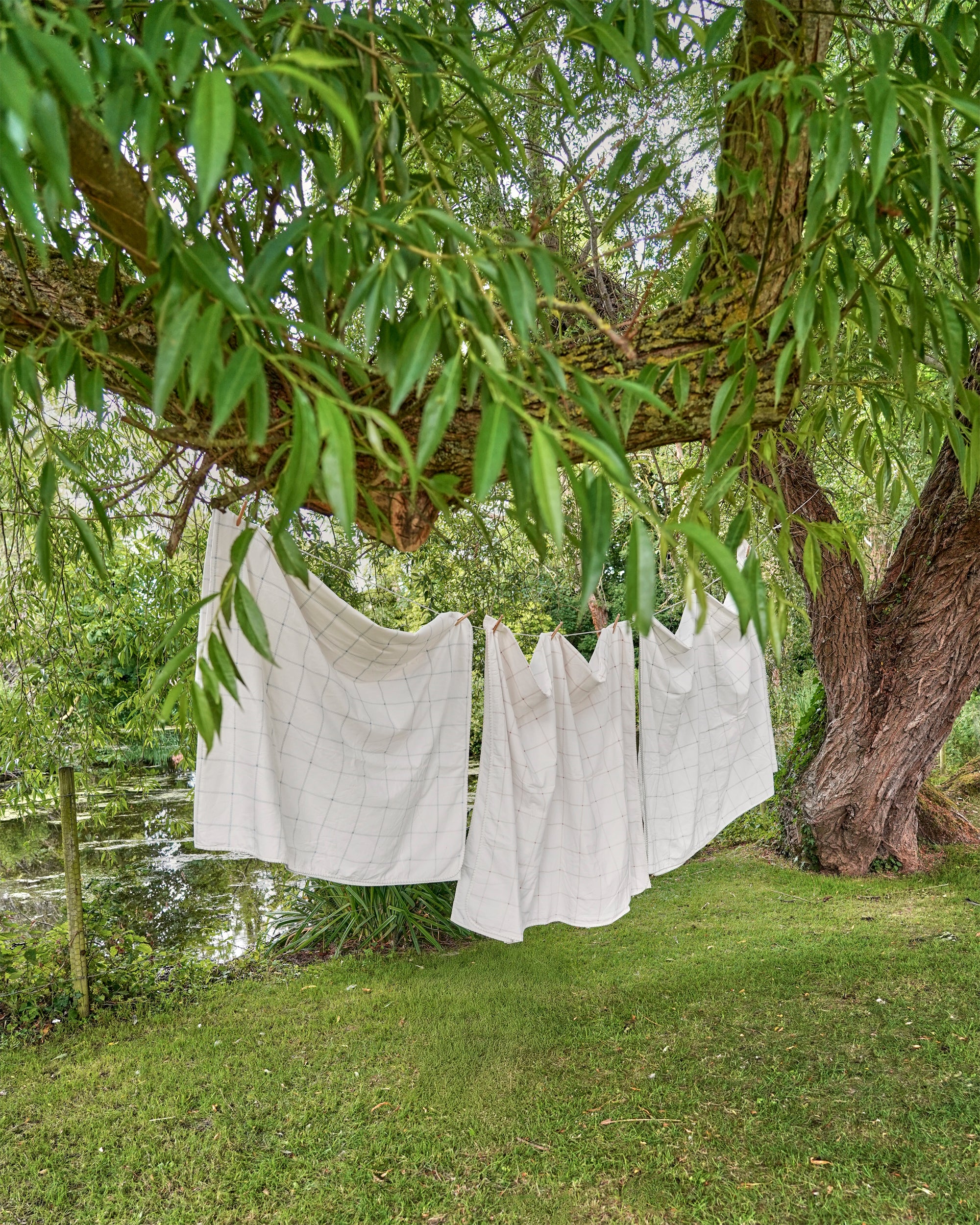 White fabric hanging from a tree branch in a natural setting with greenery and water in the background.