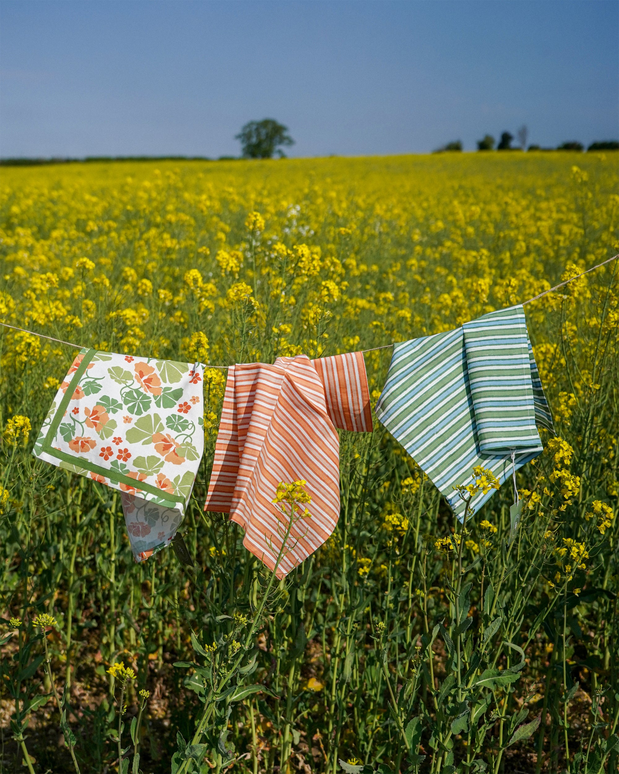Garden Stripe Napkin - Set of Four (Blue & Green)