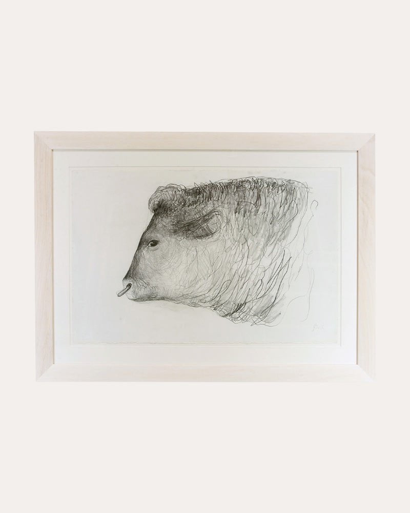 Jason Gathorne-Hardy - Bull's Head