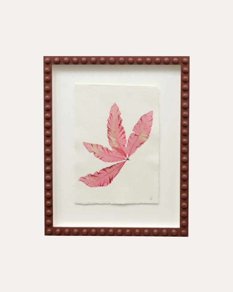 Tamra - Seaweed XI