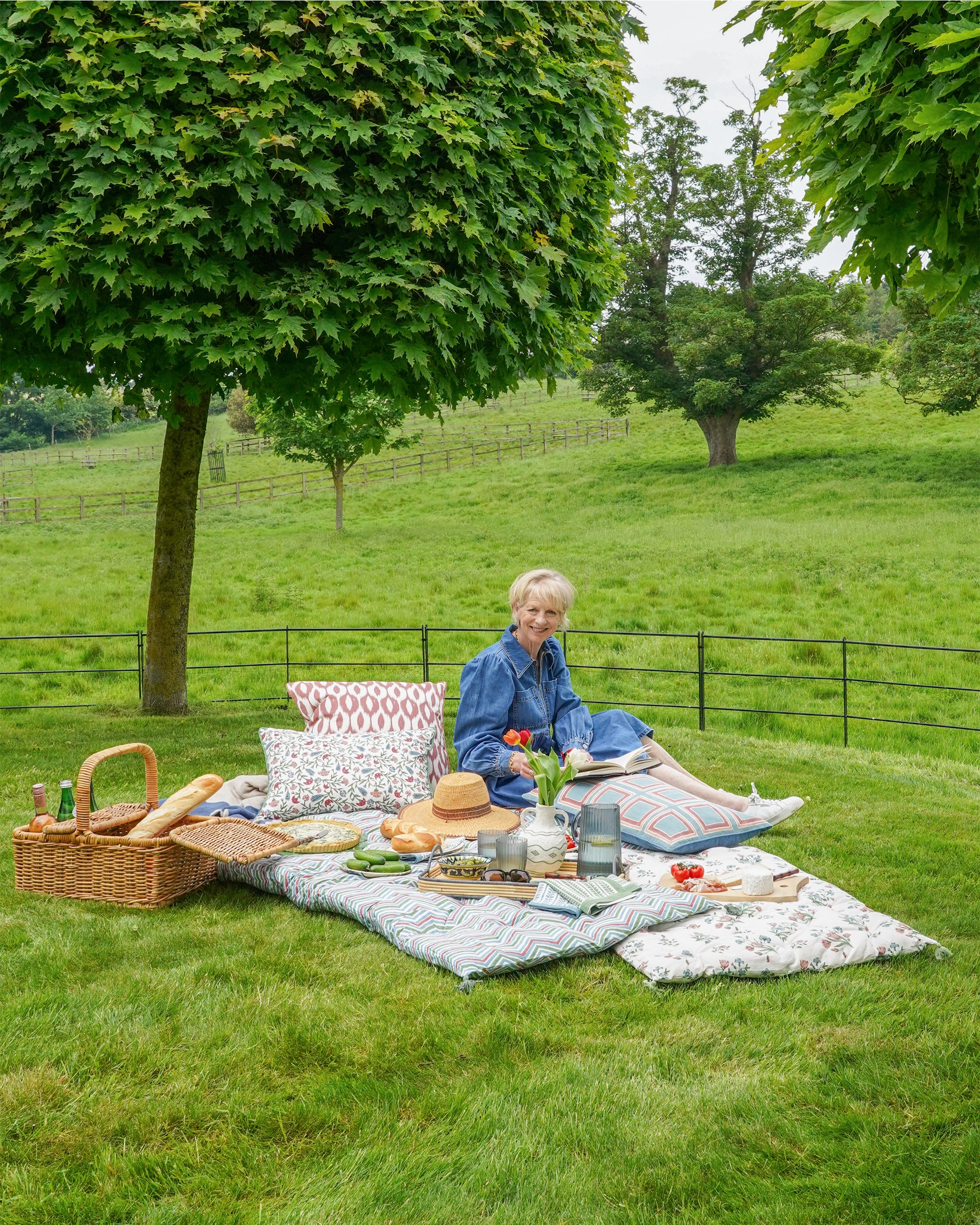 The Perfect Picnic