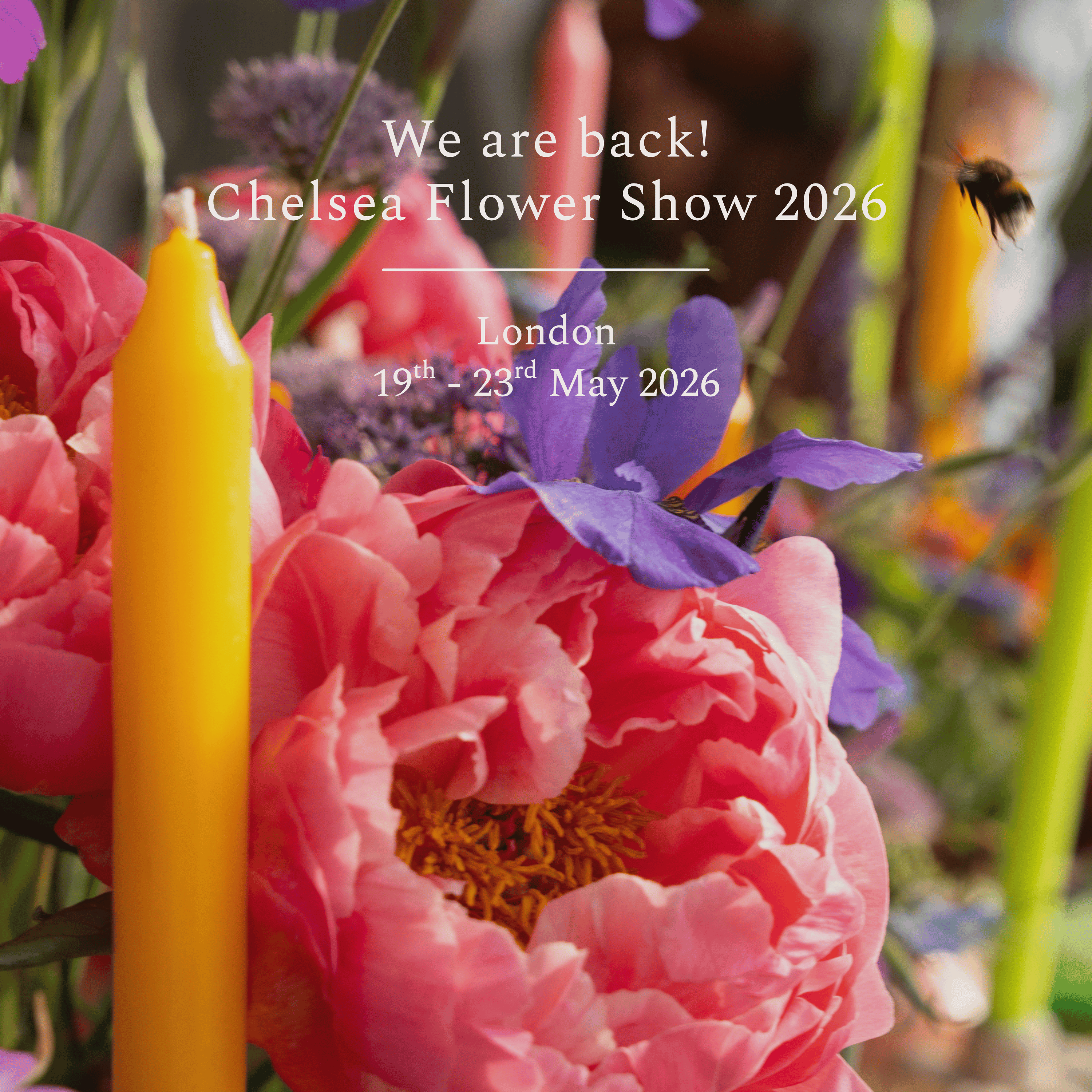 Promotional image for the Chelsea Flower Show 2026 with flowers and a bee.