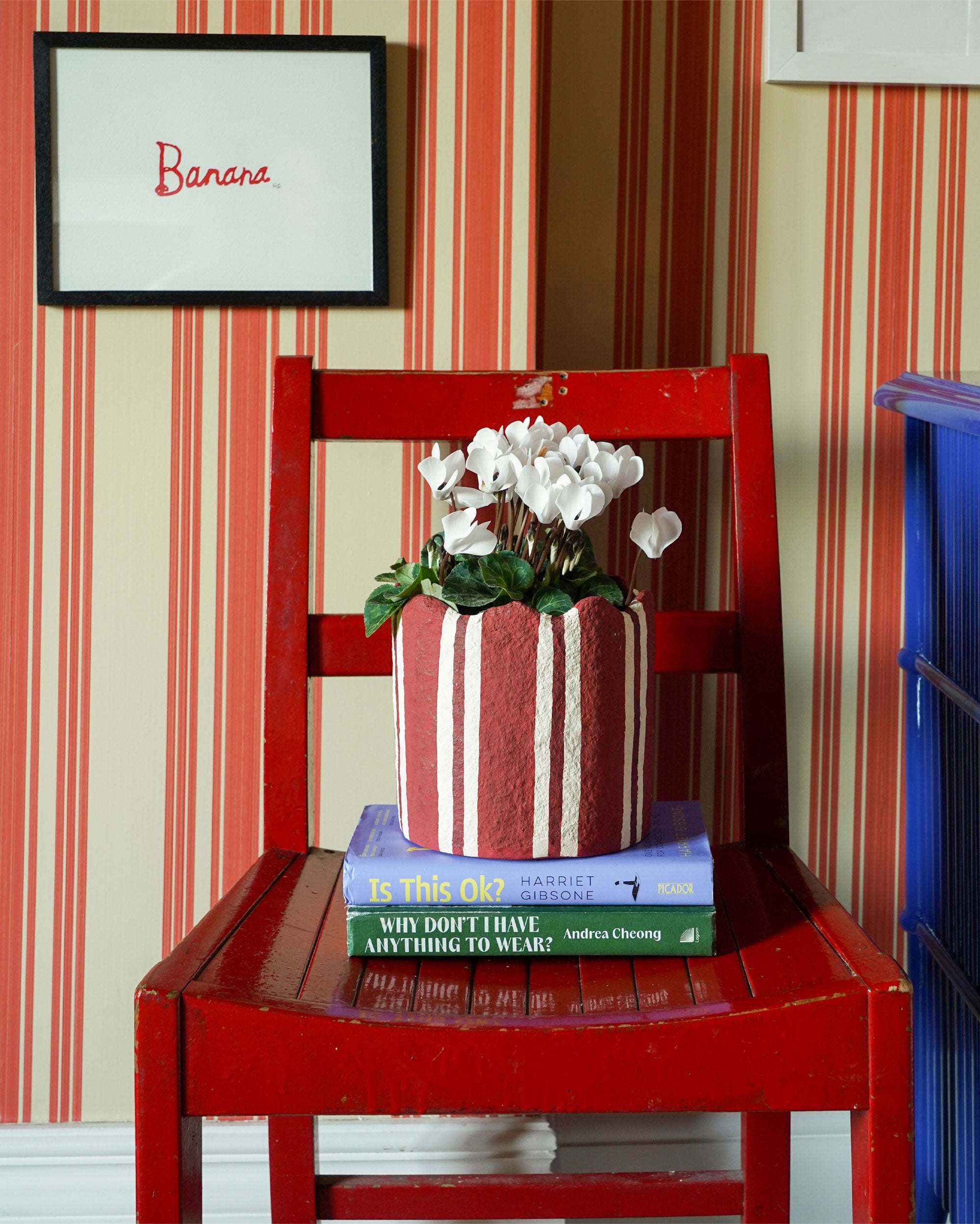 The Forever Stripey Planter - The Red