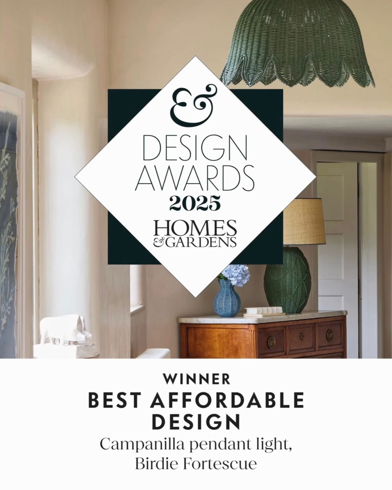 Award Winning Pendant Light 2025