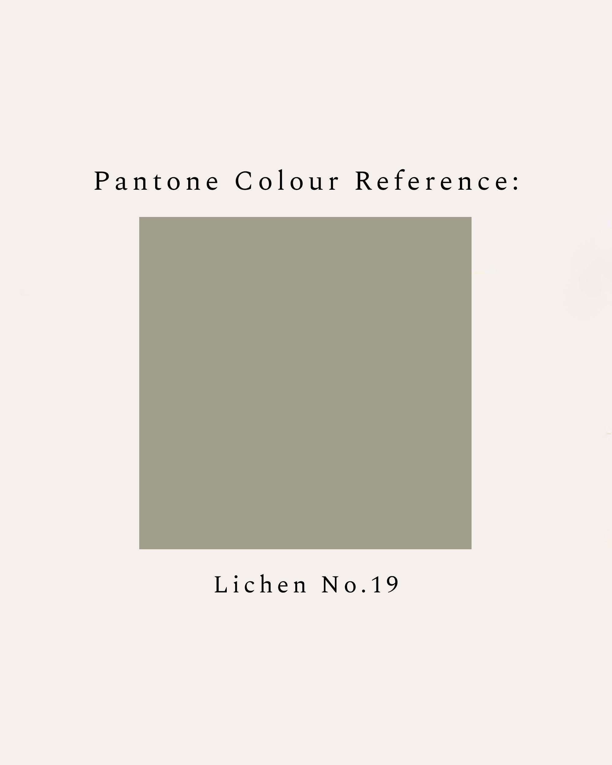Lichen No.19