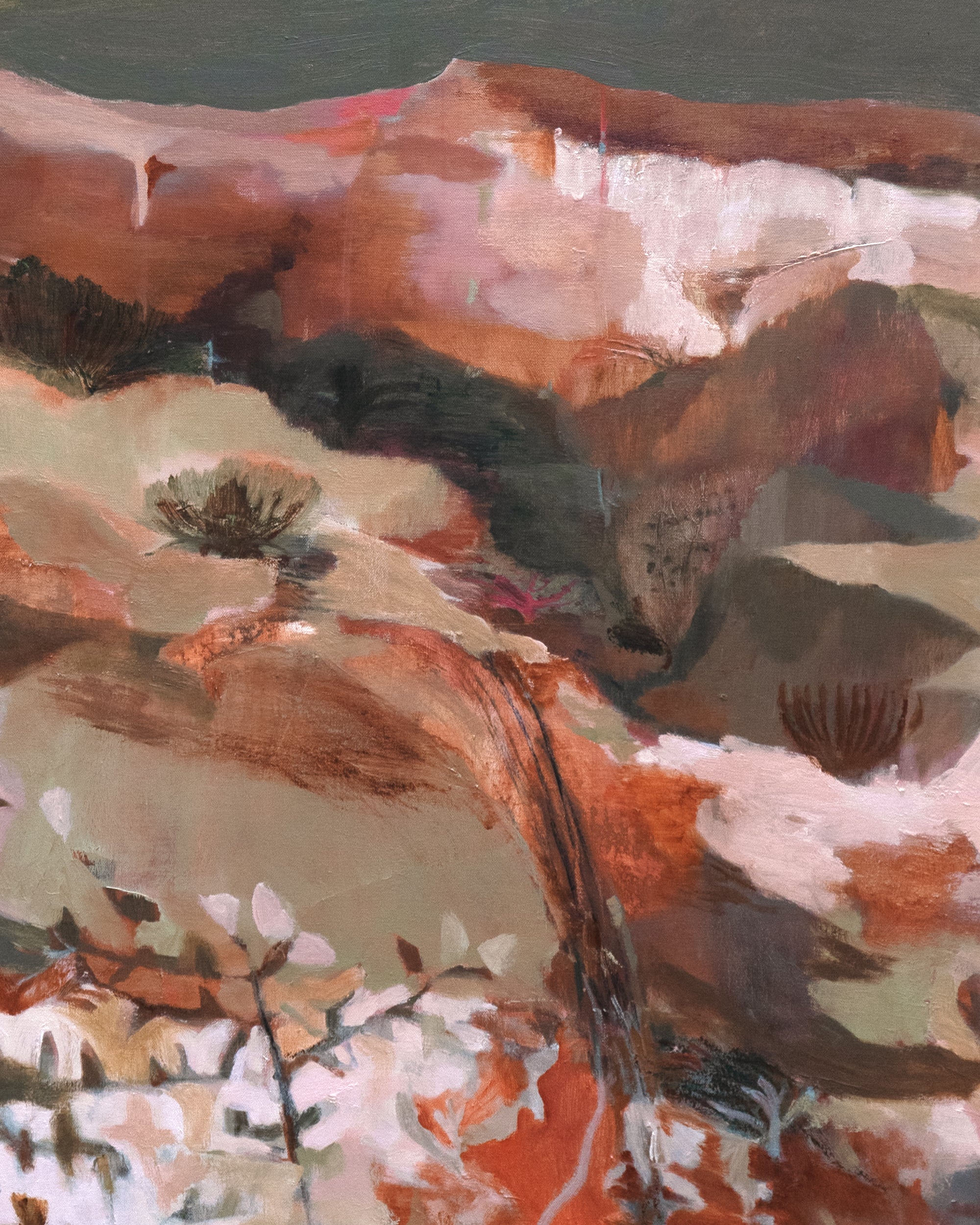 Dana Finch - Red Terrain II