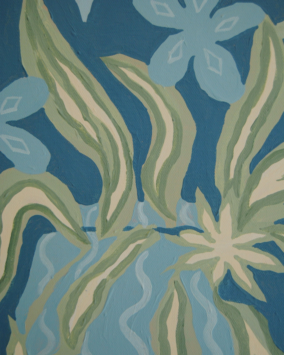 Ella S Robinson - Spider Plant at Midnight