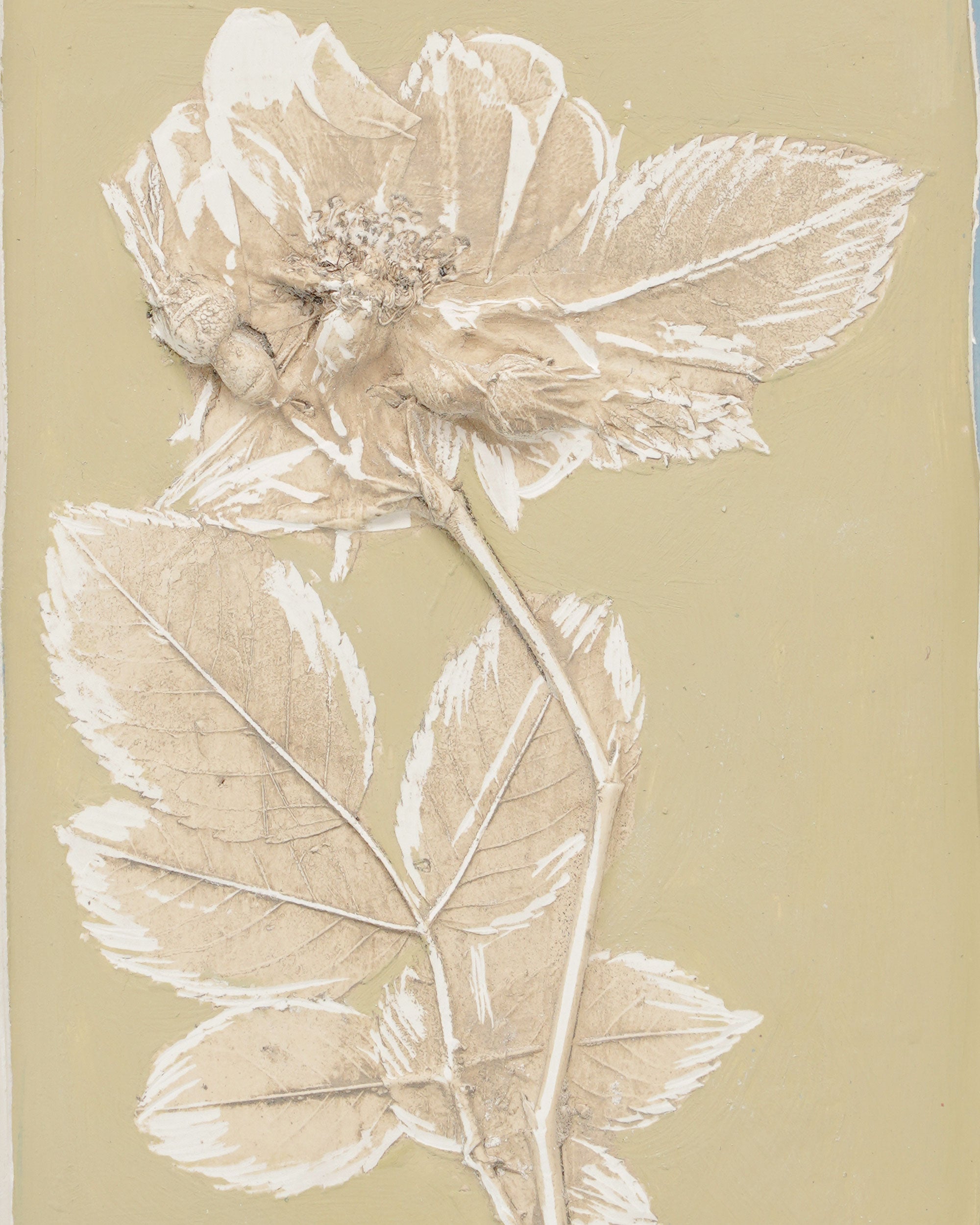 Imprint Casts - Scalloped Botanical Postage stamp - Rose Heads