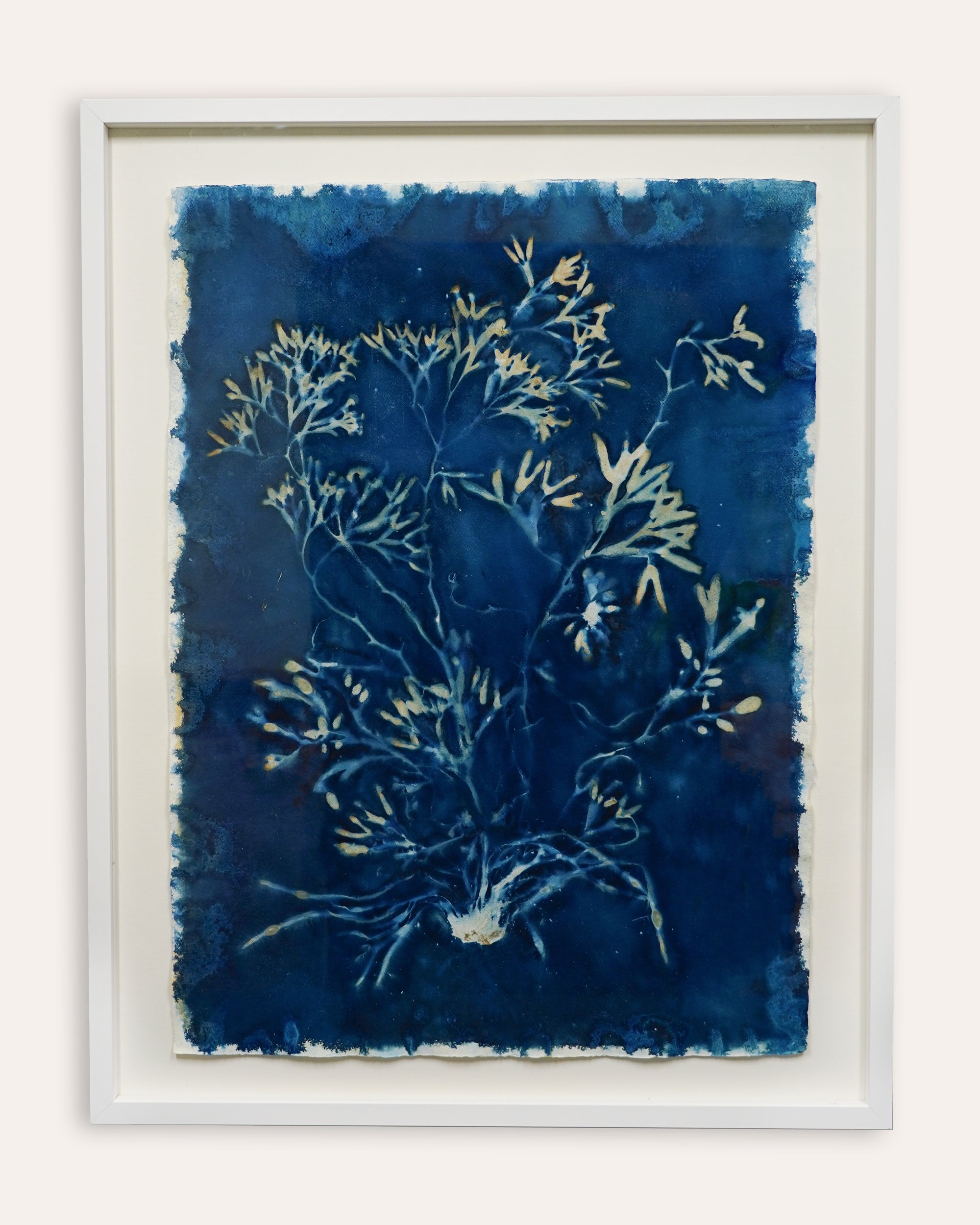 Kate Mullock - Seaweed Large 2