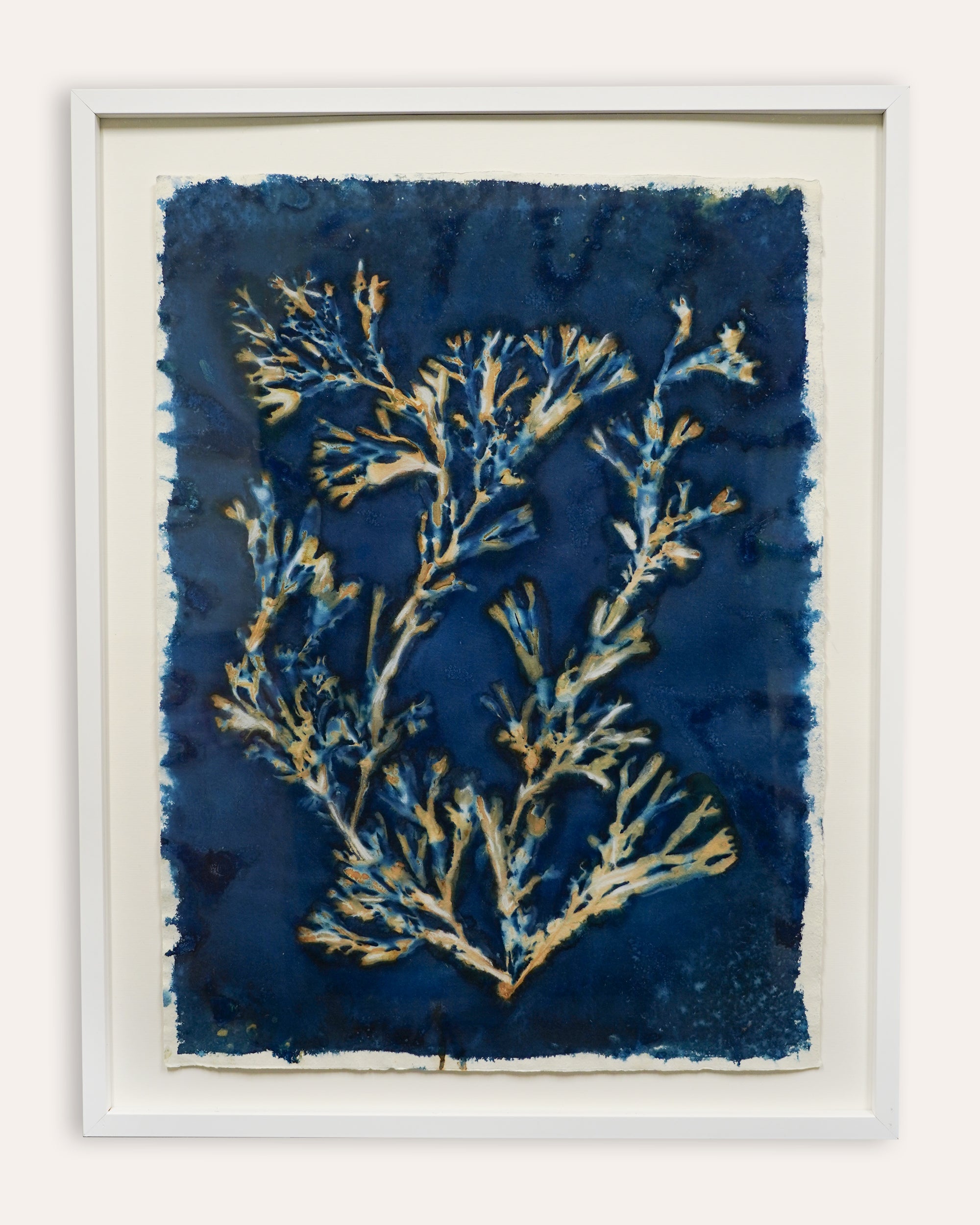 Kate Mullock - Seaweed Large 3