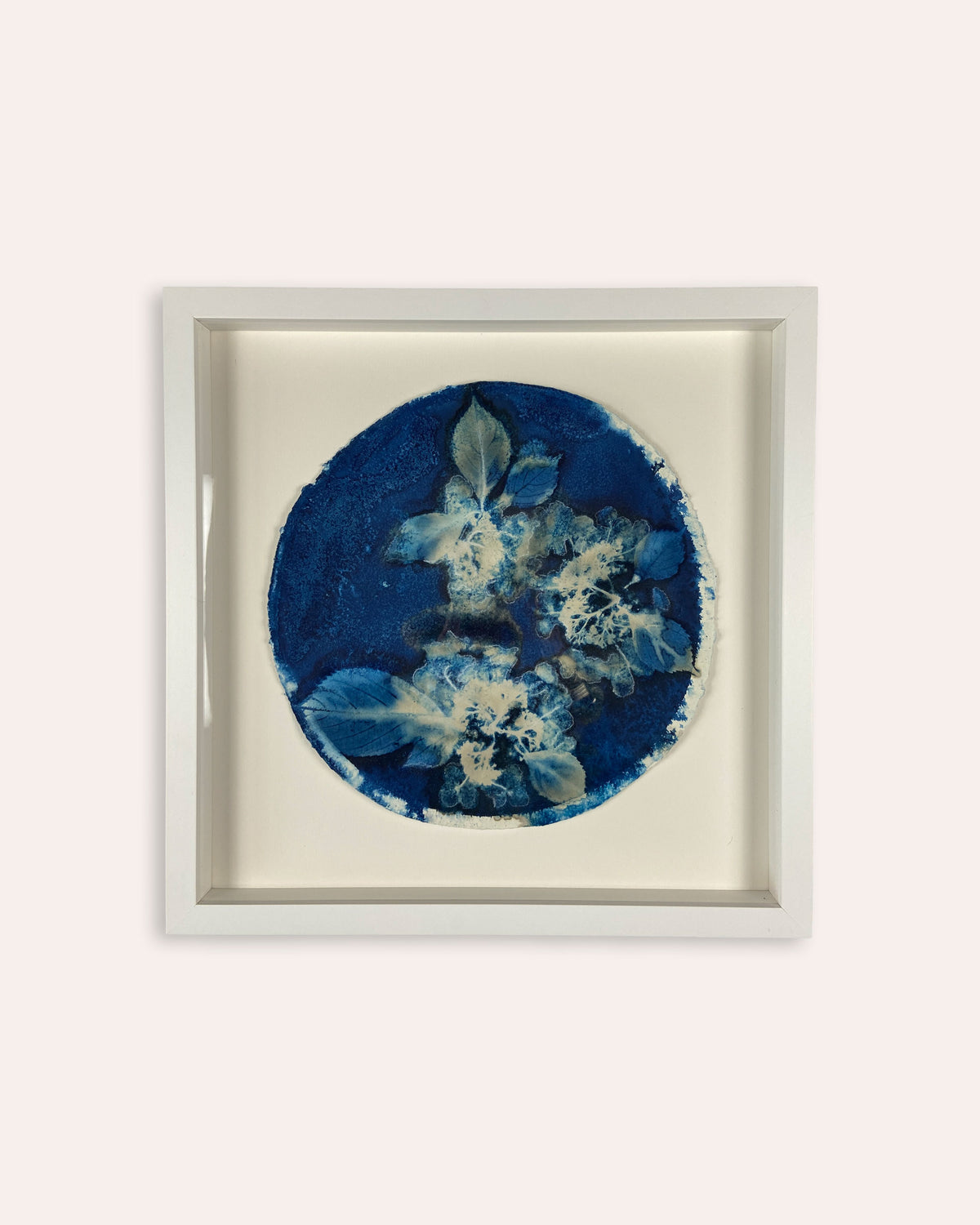 Kate Mullock - Circle Hydrangea A