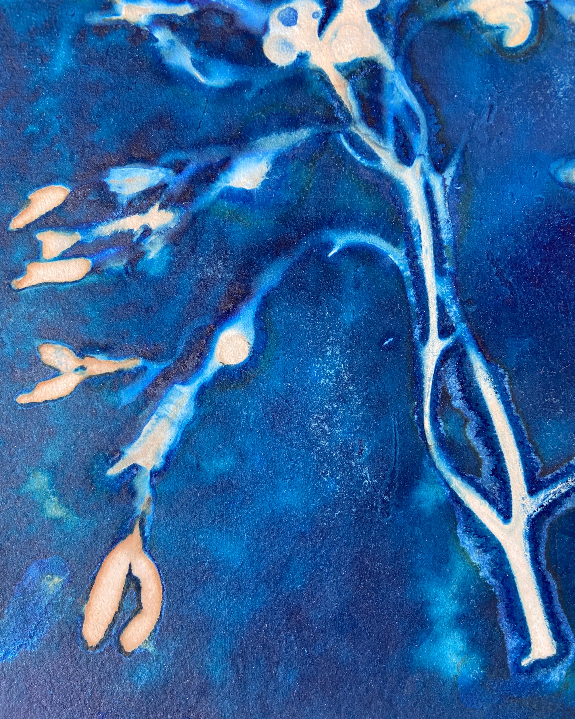 Kate Mullock - Seaweed No.2