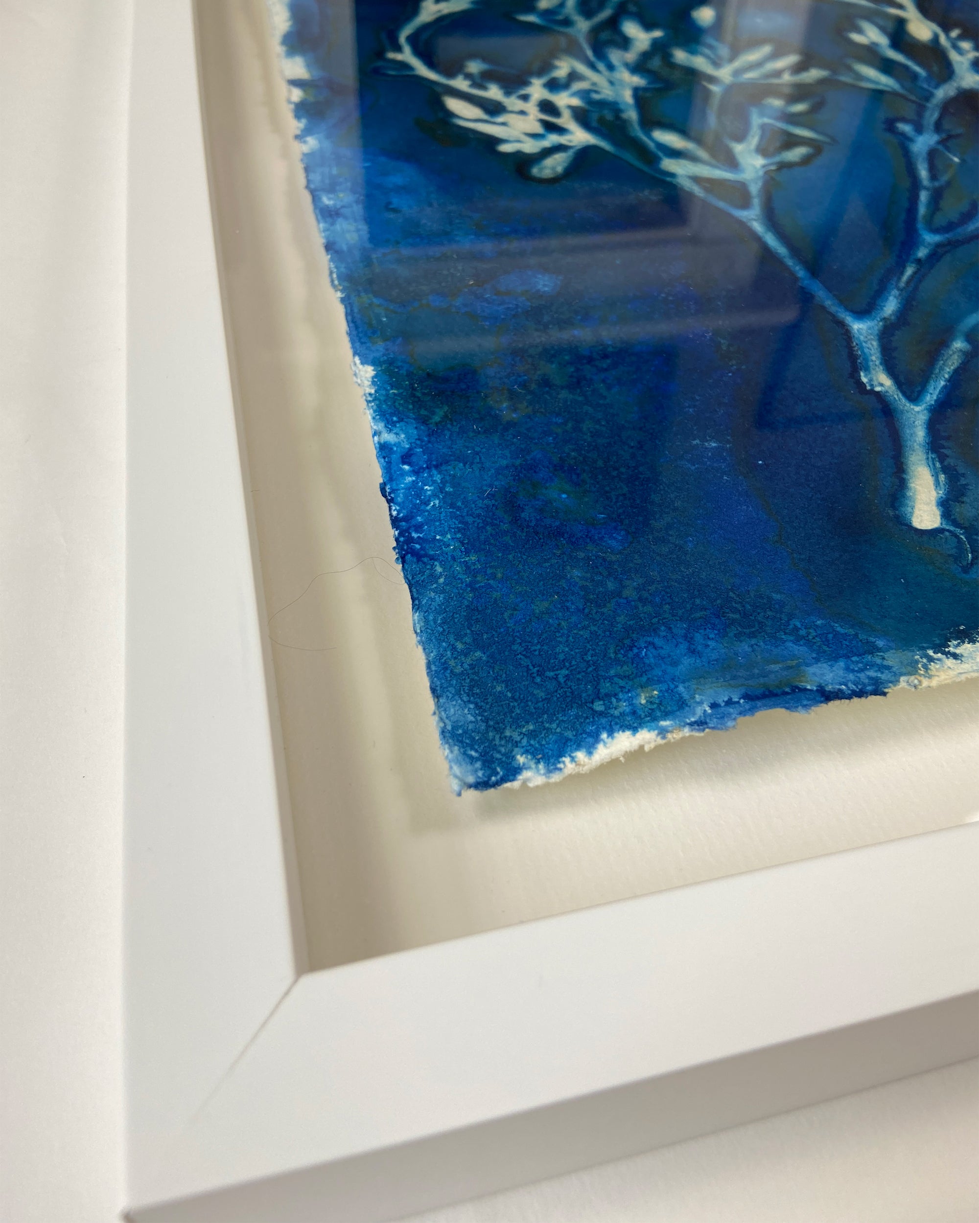 Kate Mullock - Seaweed No.3