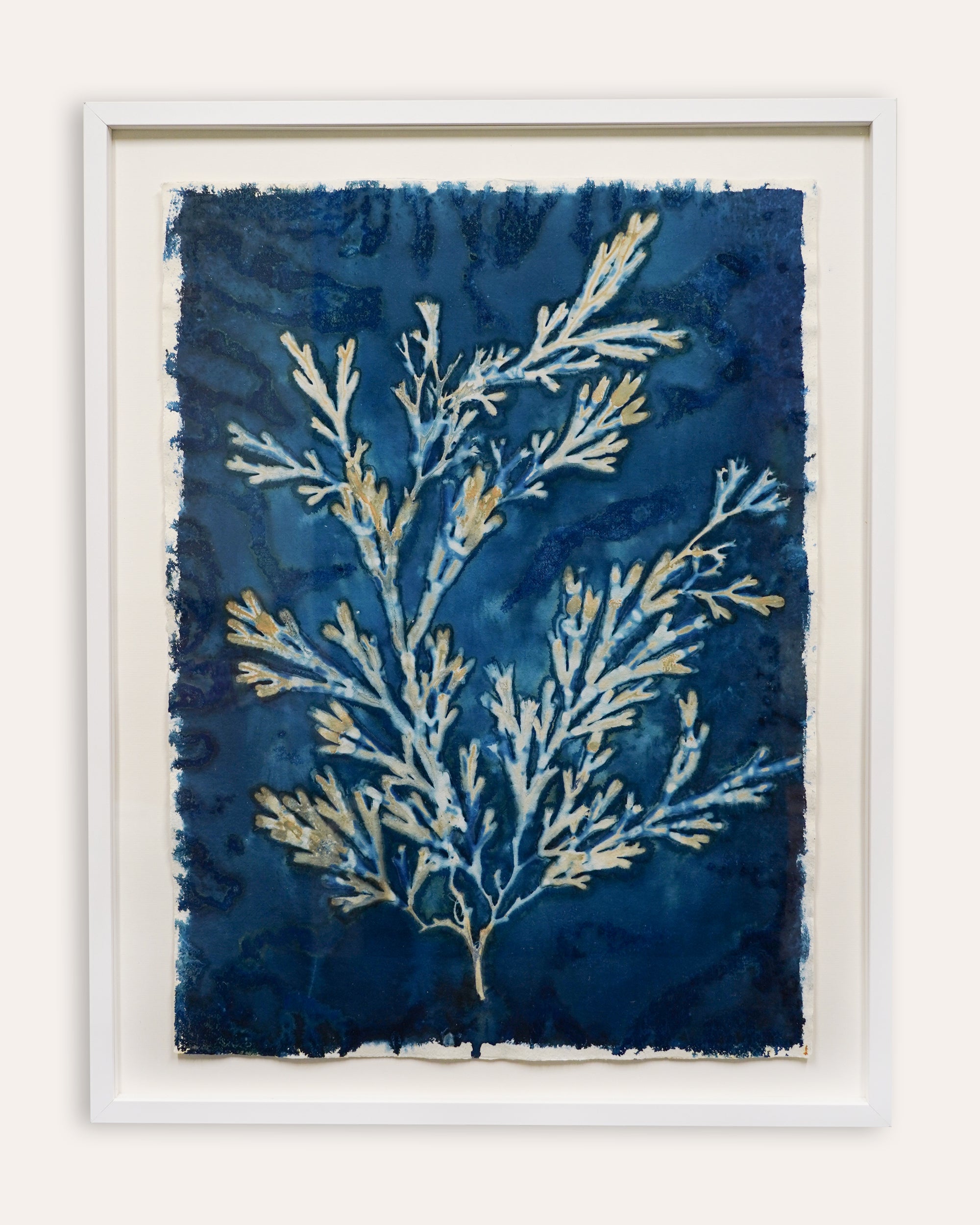 Kate Mullock -  Seaweed Large 1