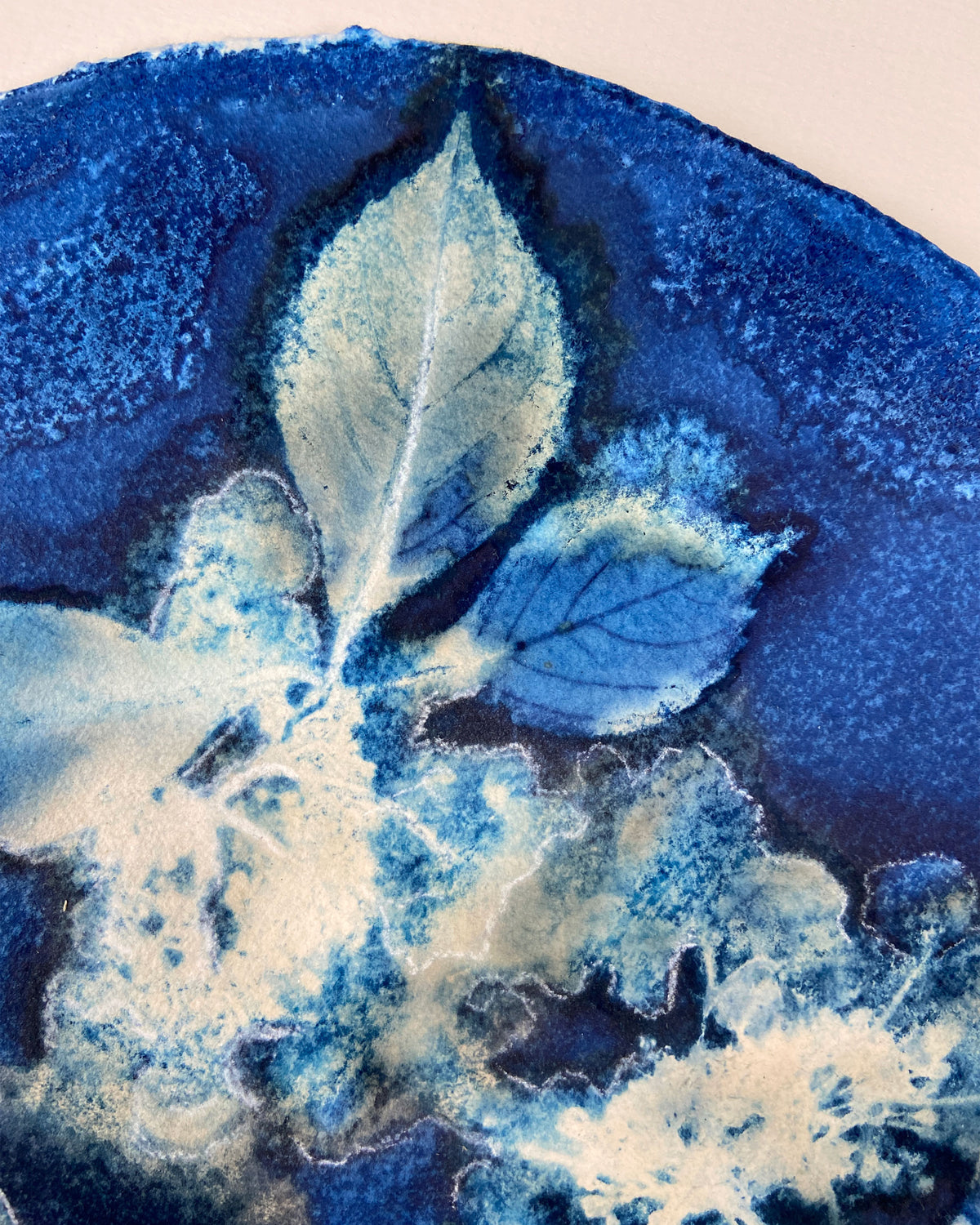 Kate Mullock - Circle Hydrangea A