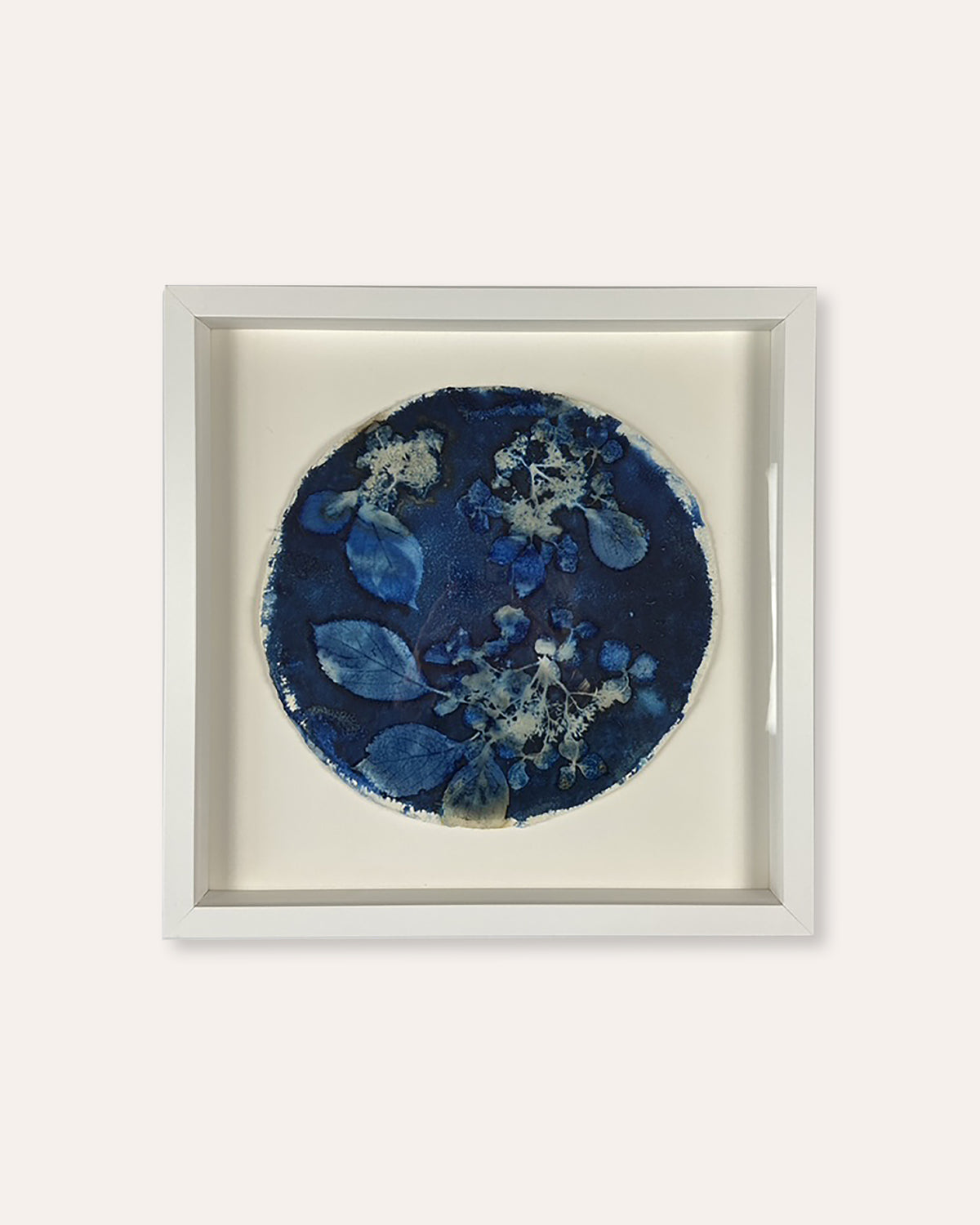 Kate Mullock - Circle Hydrangea B