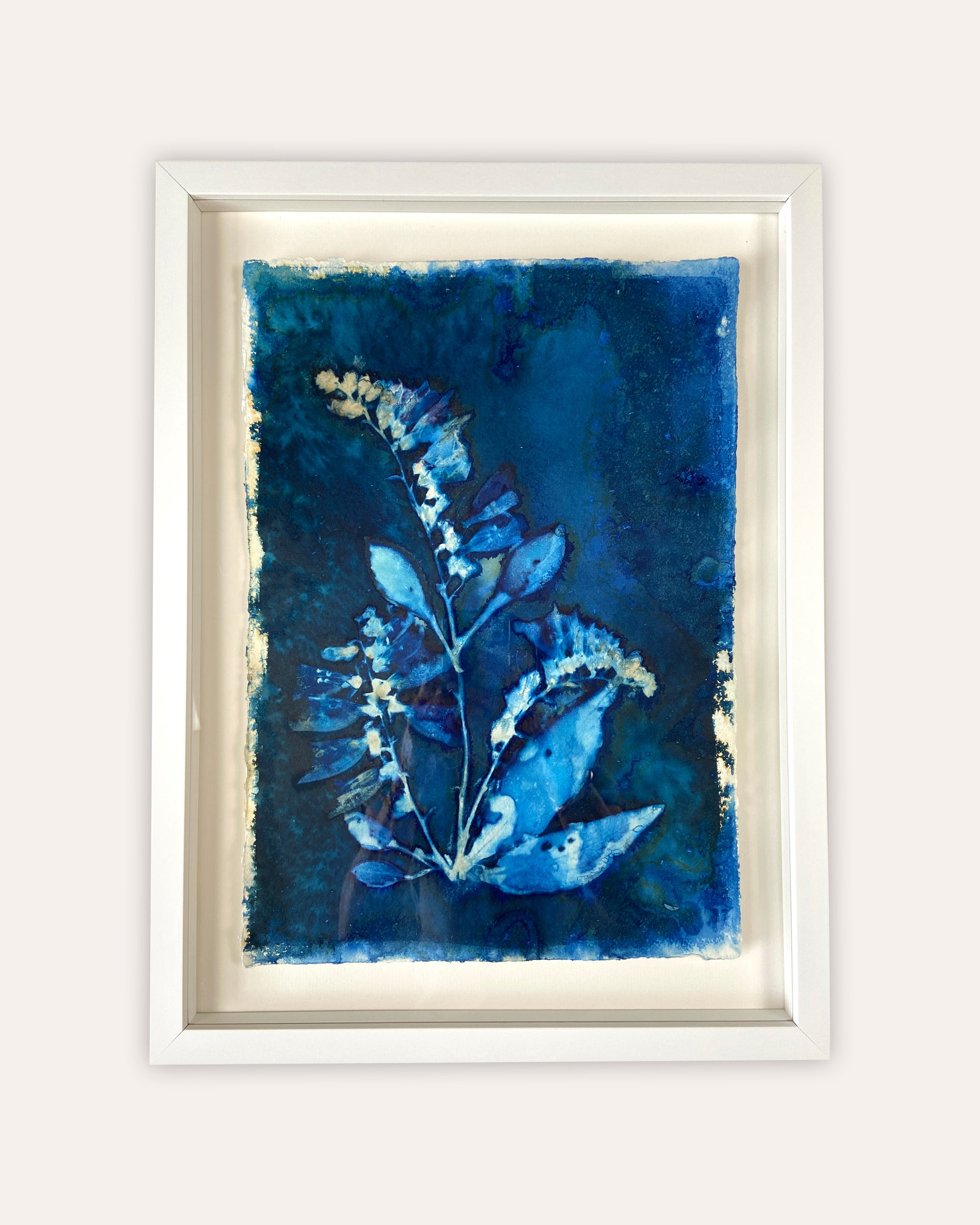 Kate Mullock - Foxglove No.4