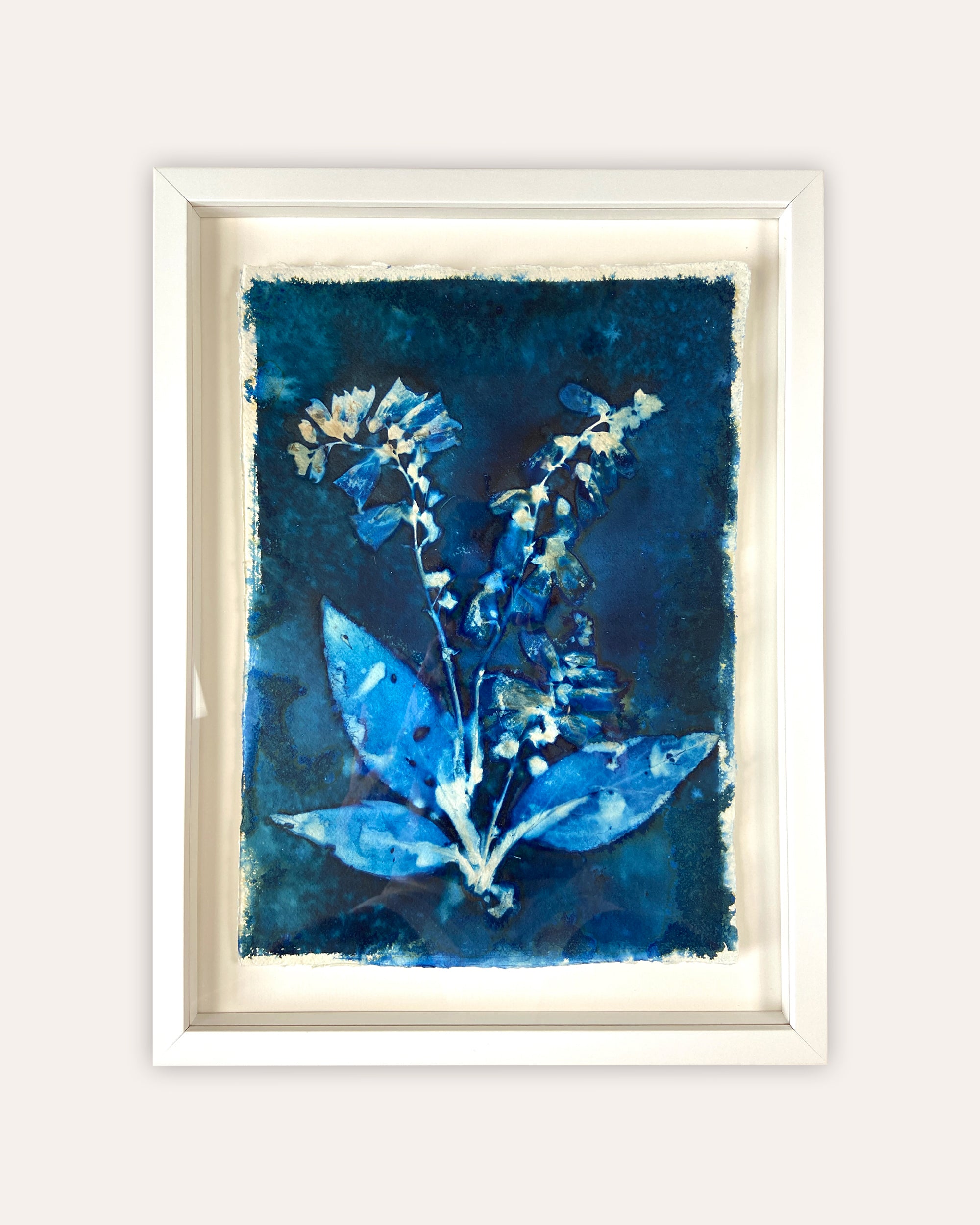 Kate Mullock - Foxglove No.5