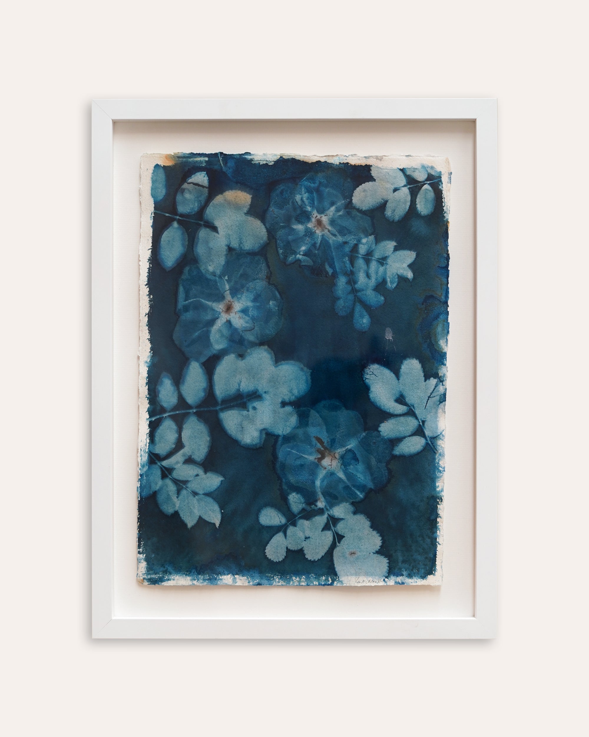 Kate Mullock - Rose 4