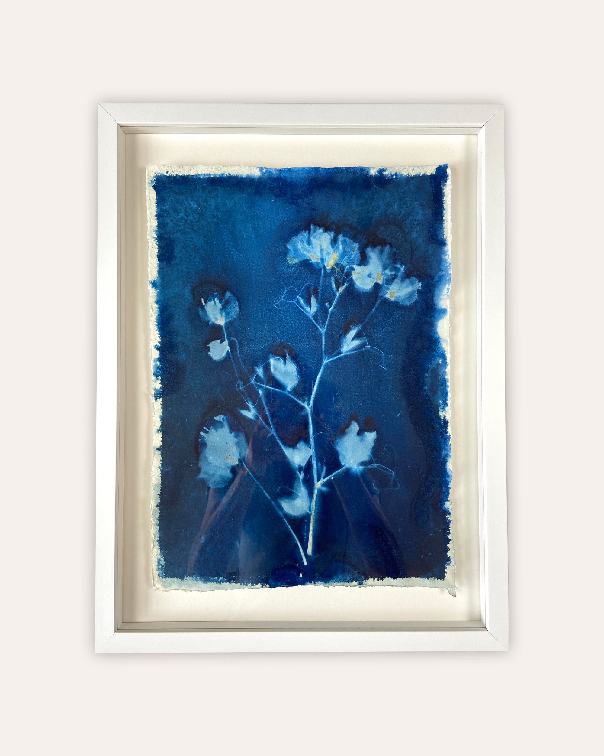 Kate Mullock - Sweet Pea No.2