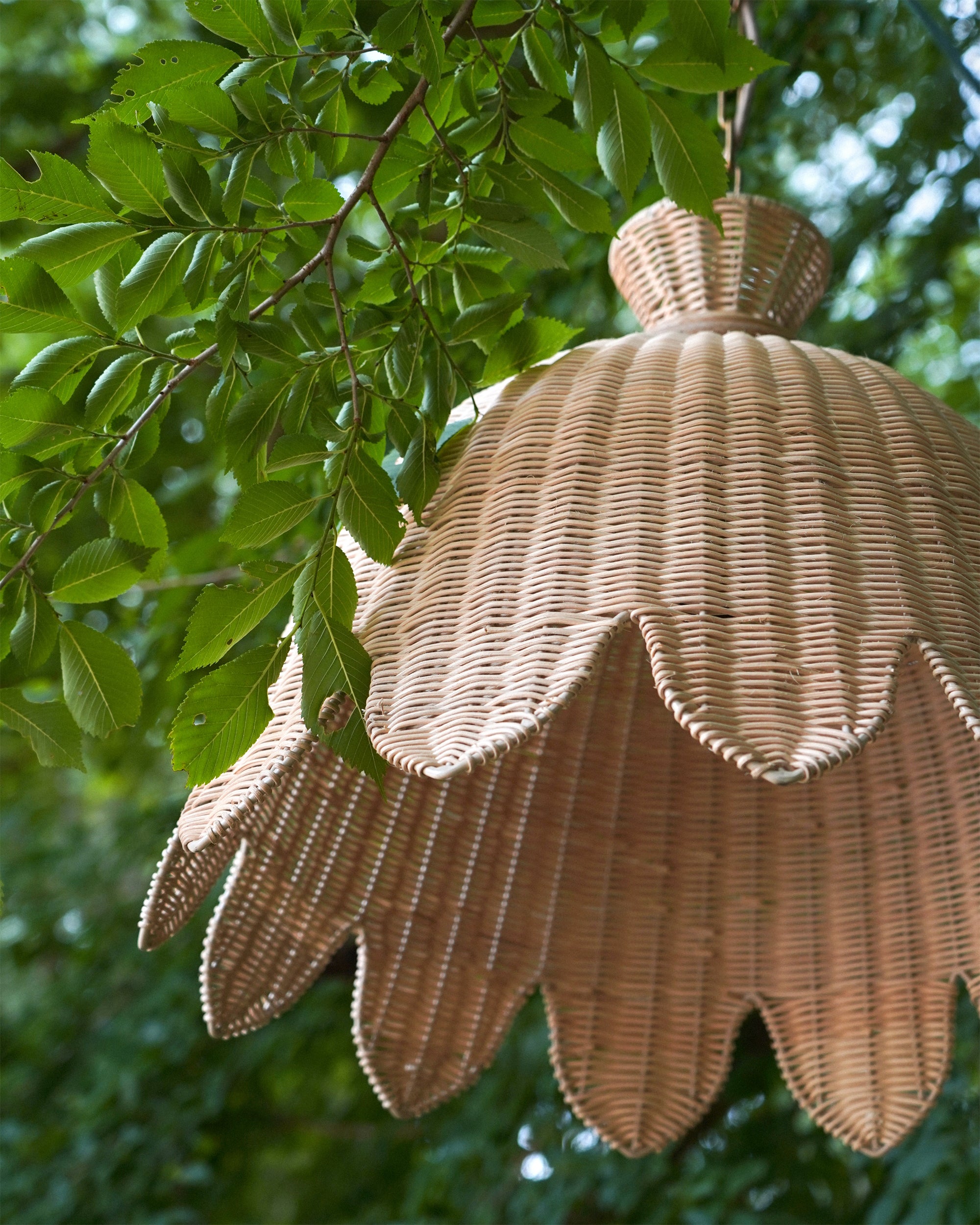 Campanilla Pendant Light - Natural