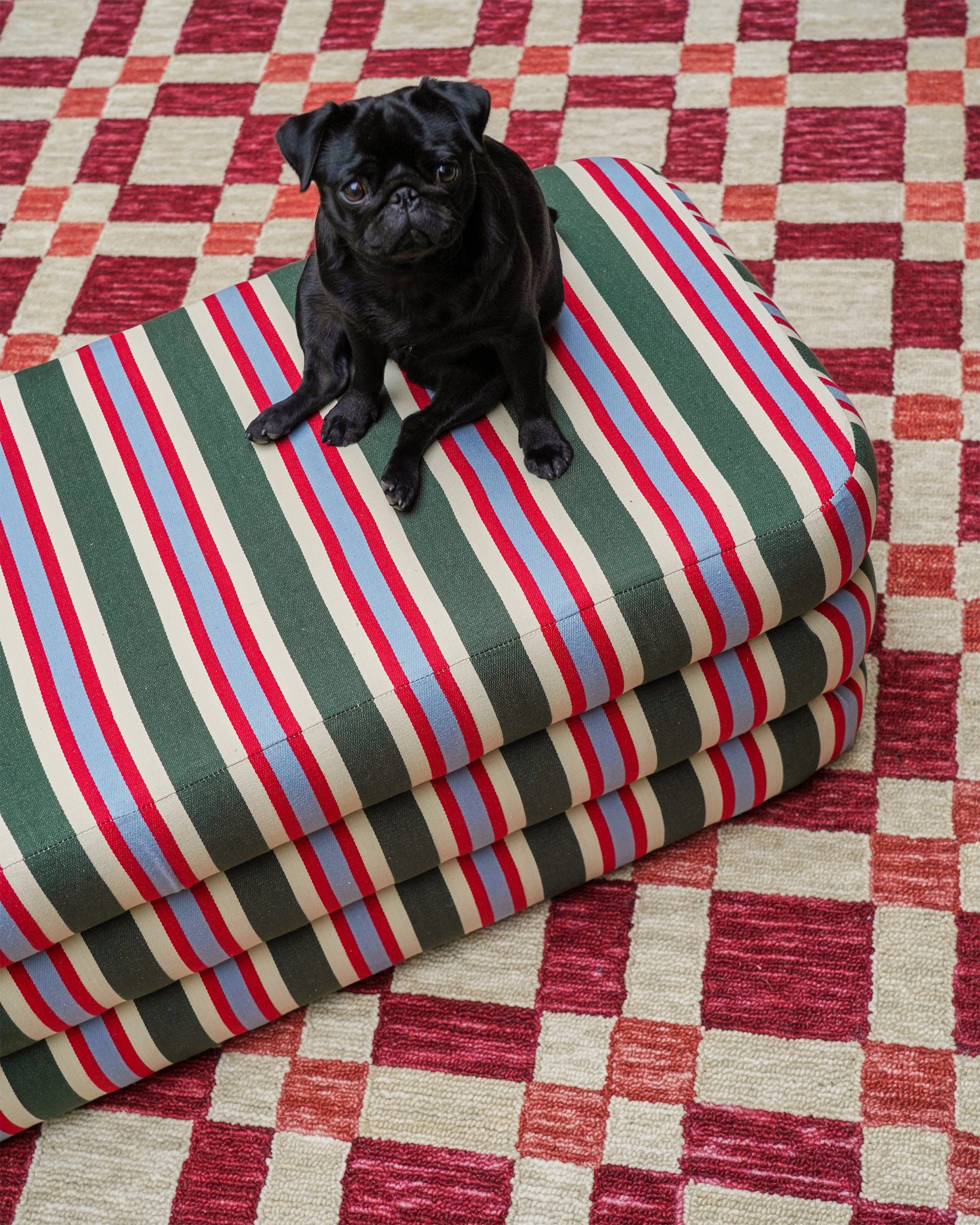 Stripey Ottoman on a red checkmate rug