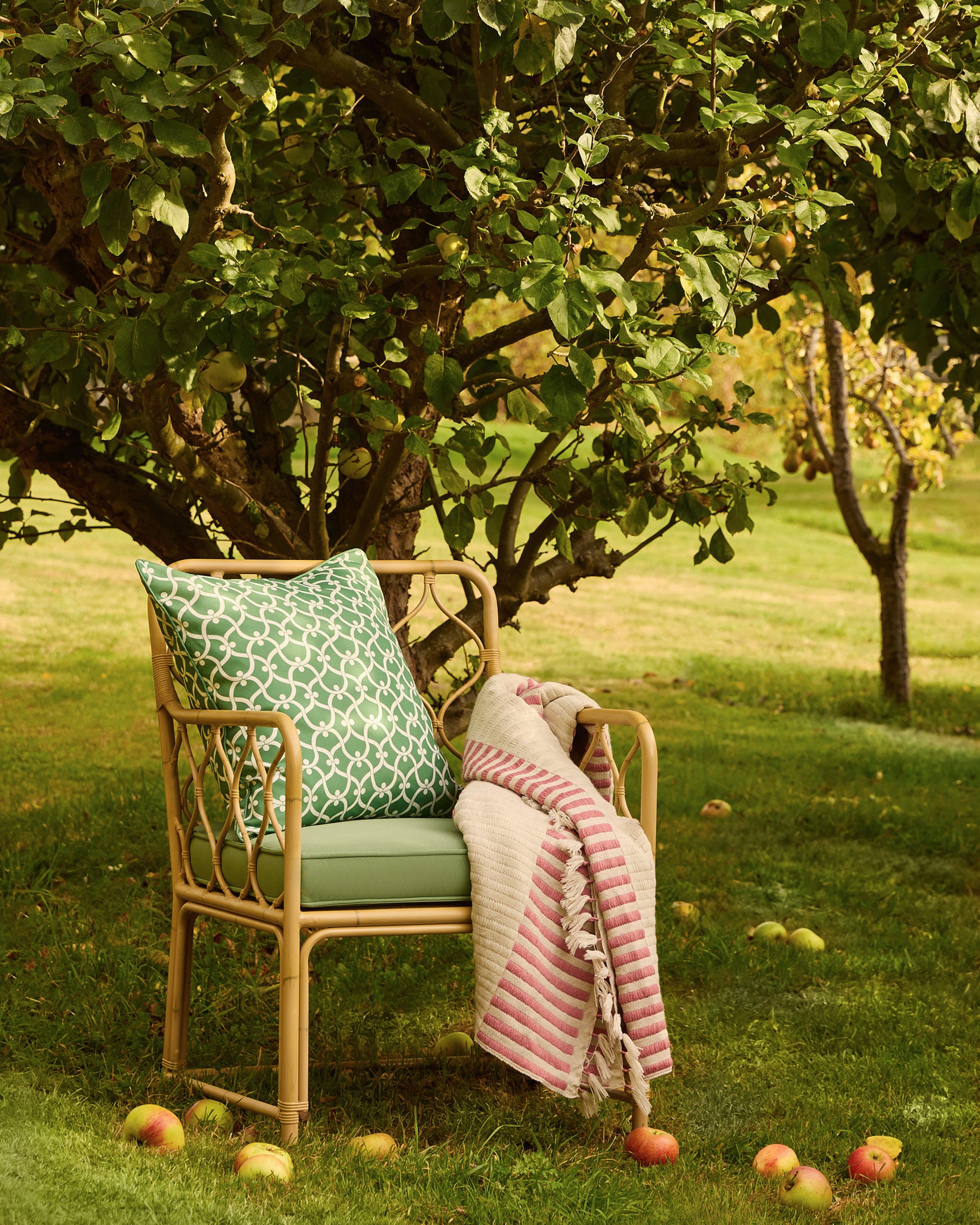 Bamboo chair with a green cushion and pink blanket under a tree in a garden with apples on the ground.