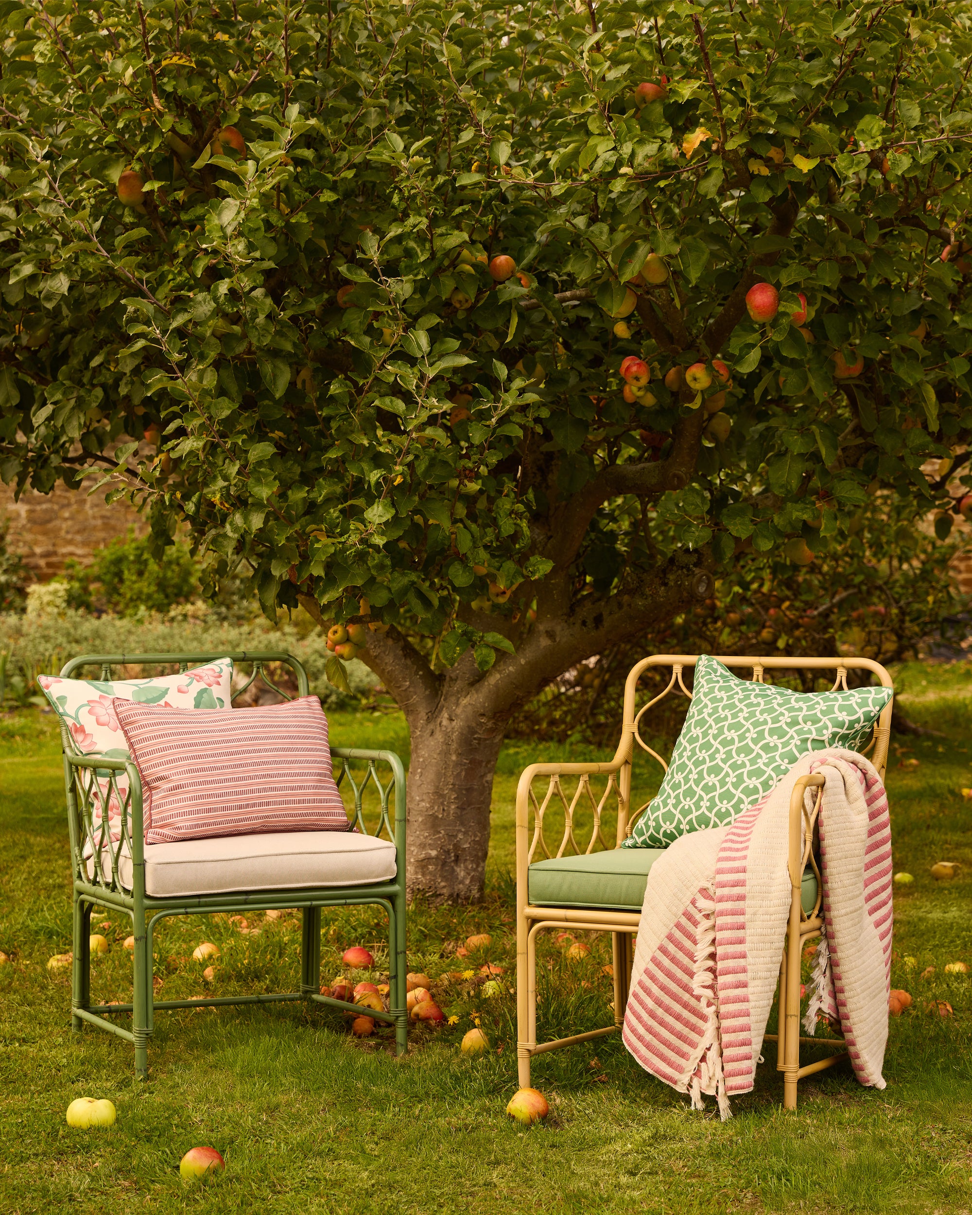 Two garden chairs with cushions and a blanket under an apple tree.